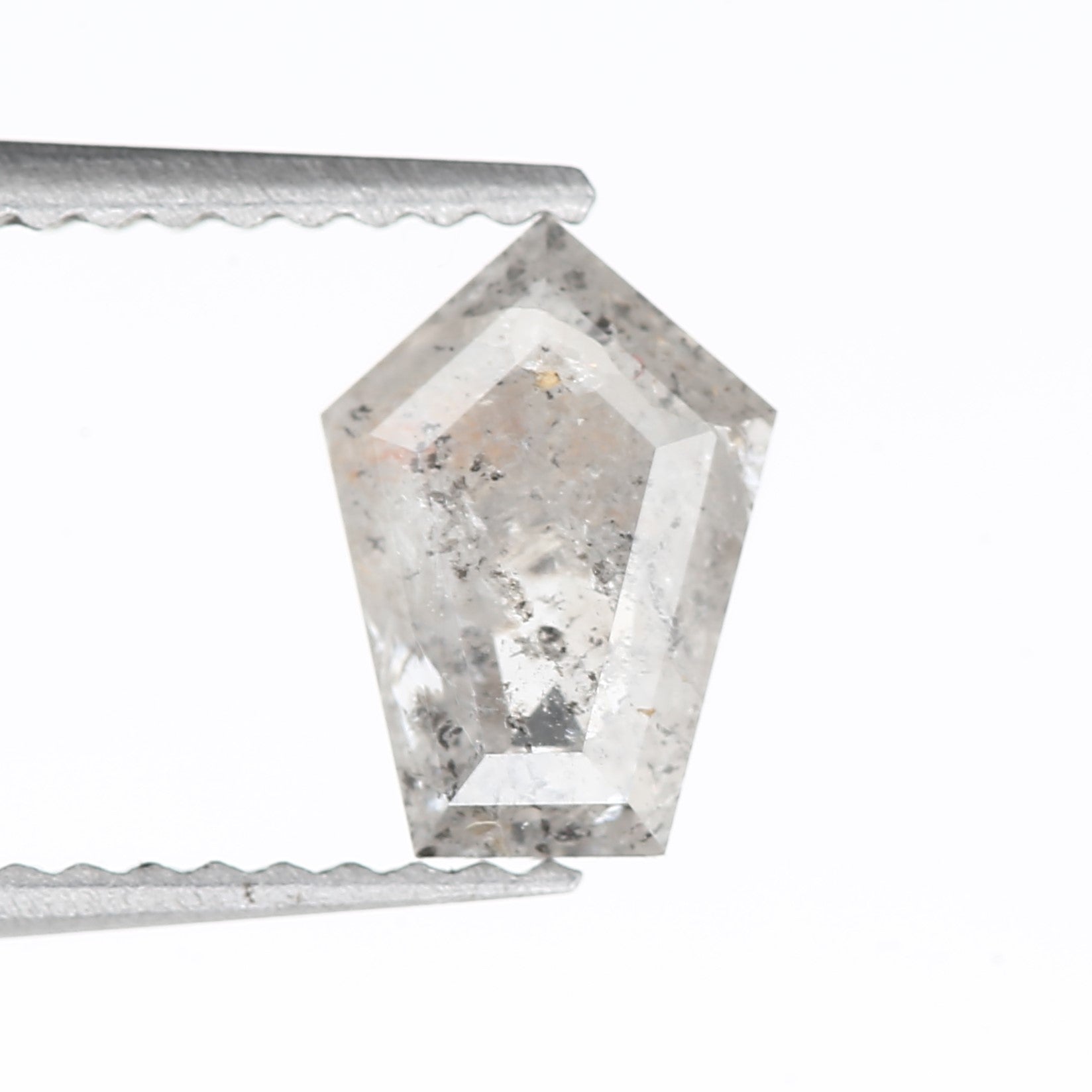 ClariOLED Transparent OLED Display price