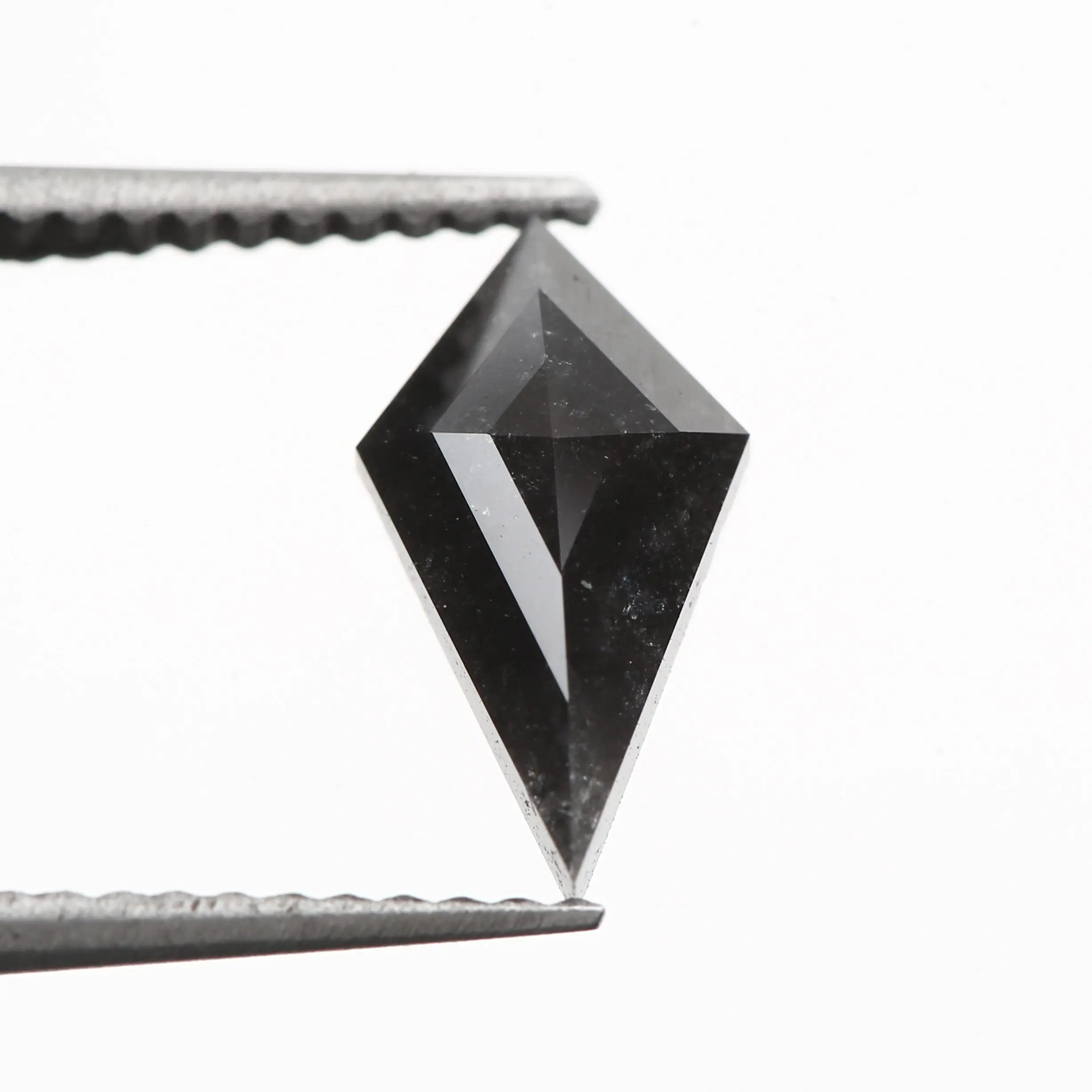 ClariOLED Transparent OLED Display price