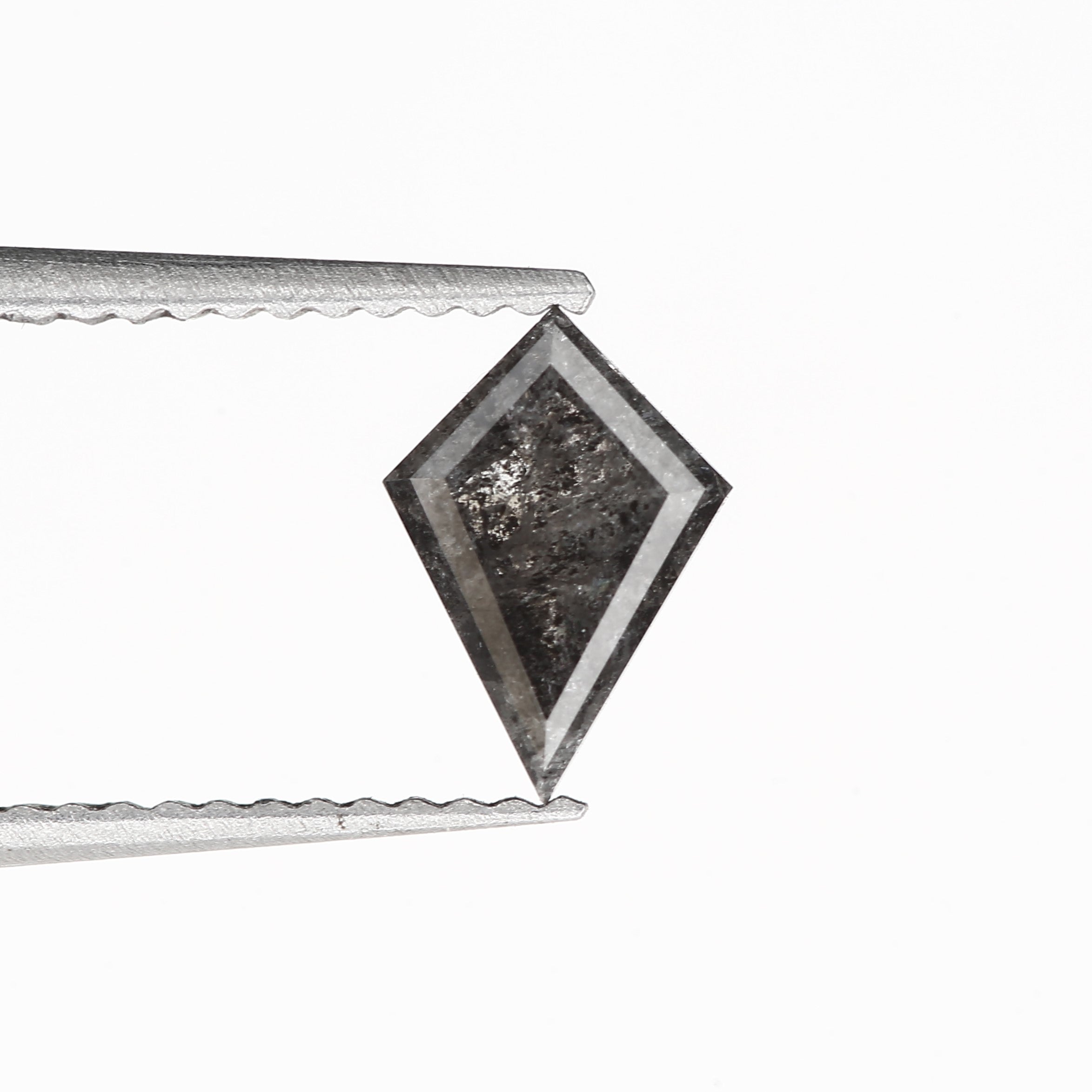 ClariOLED Transparent OLED Display price