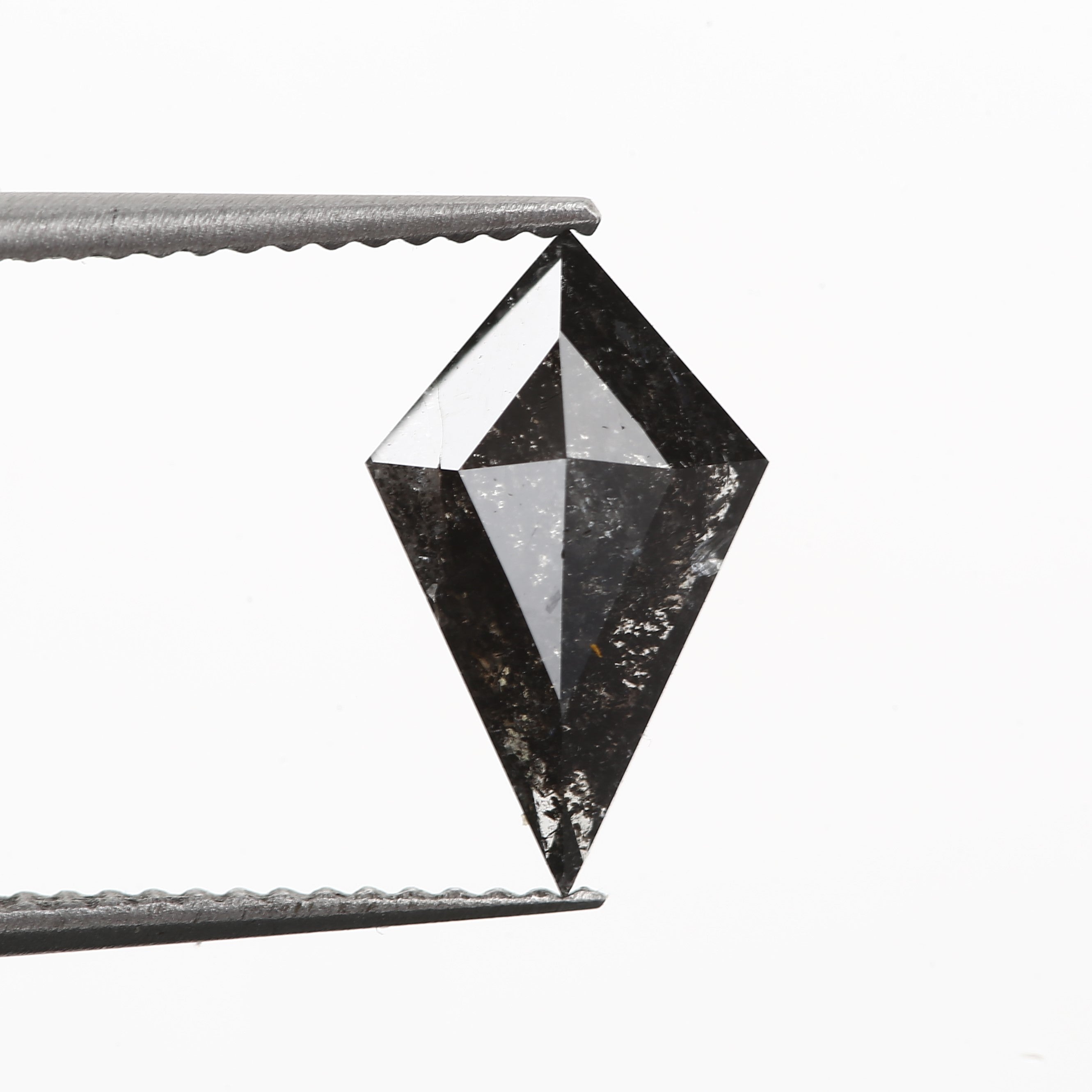 ClariOLED Transparent OLED Display price