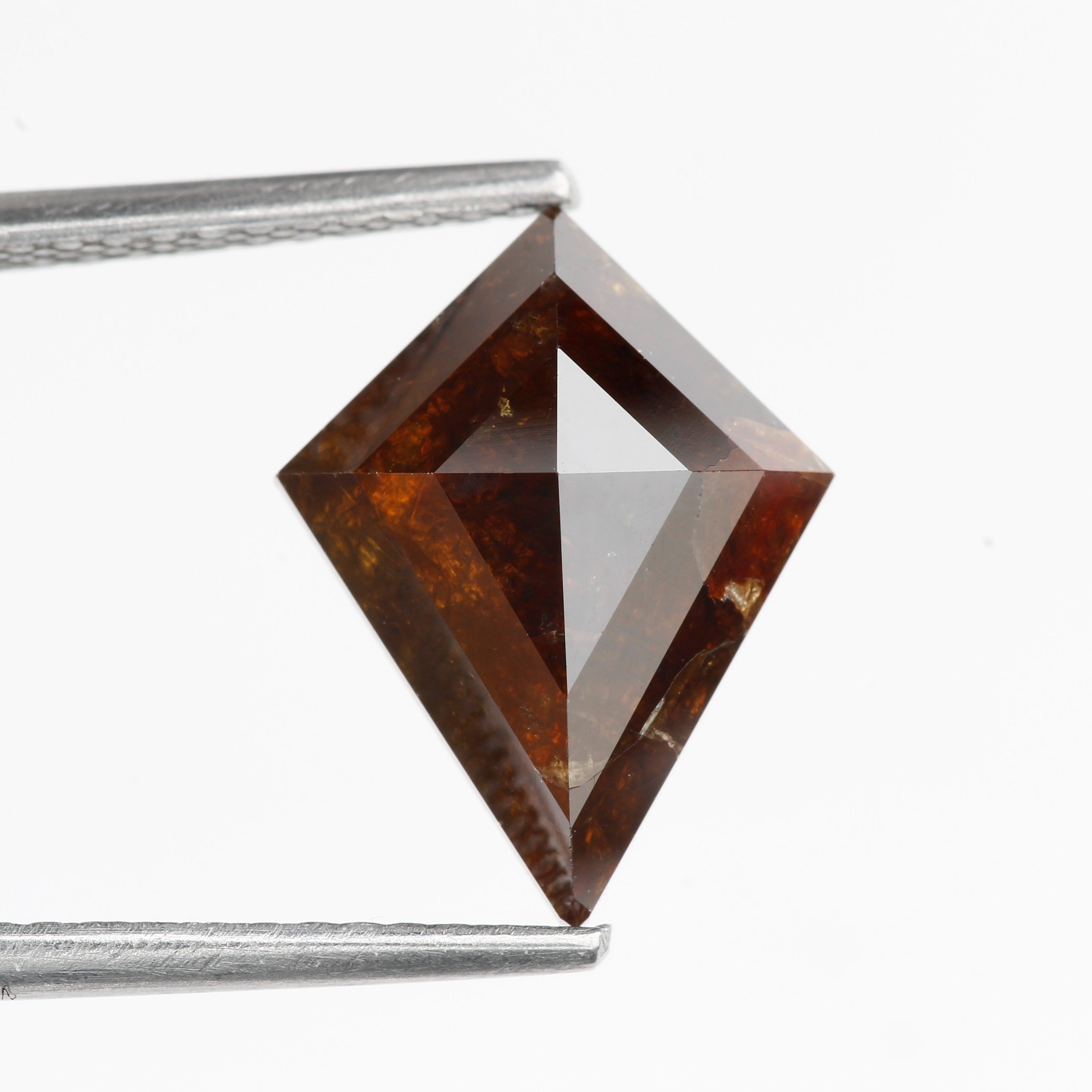 ClariOLED Transparent OLED Display price