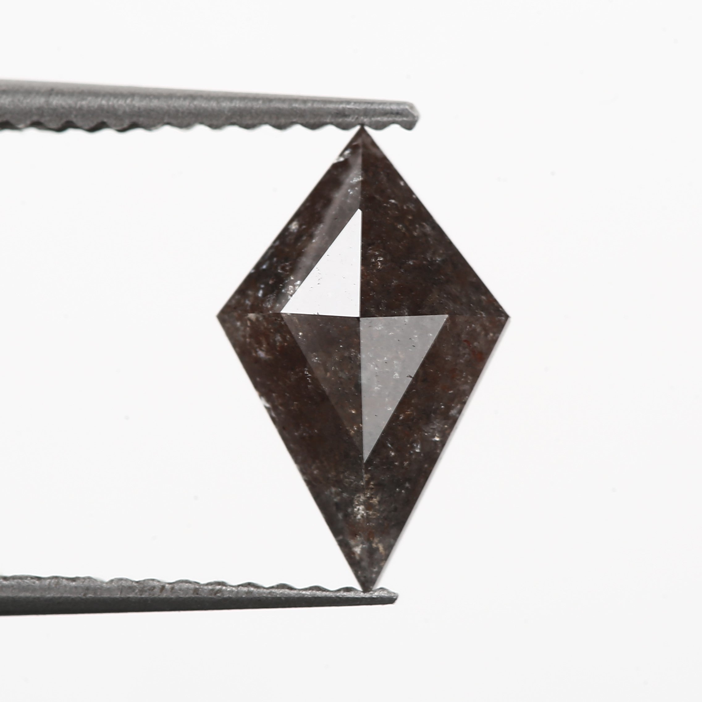 ClariOLED Transparent OLED Display price