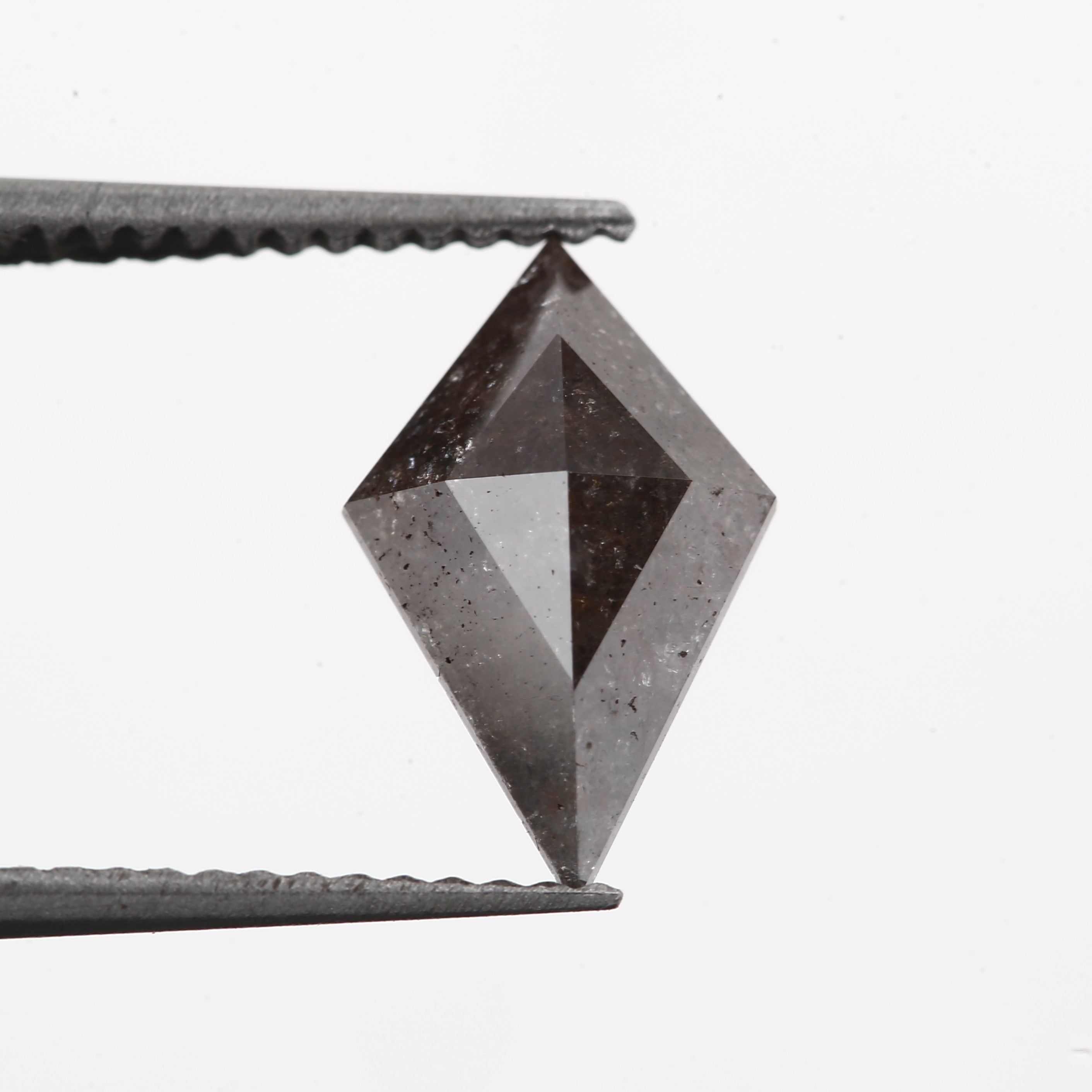 ClariOLED Transparent OLED Display price