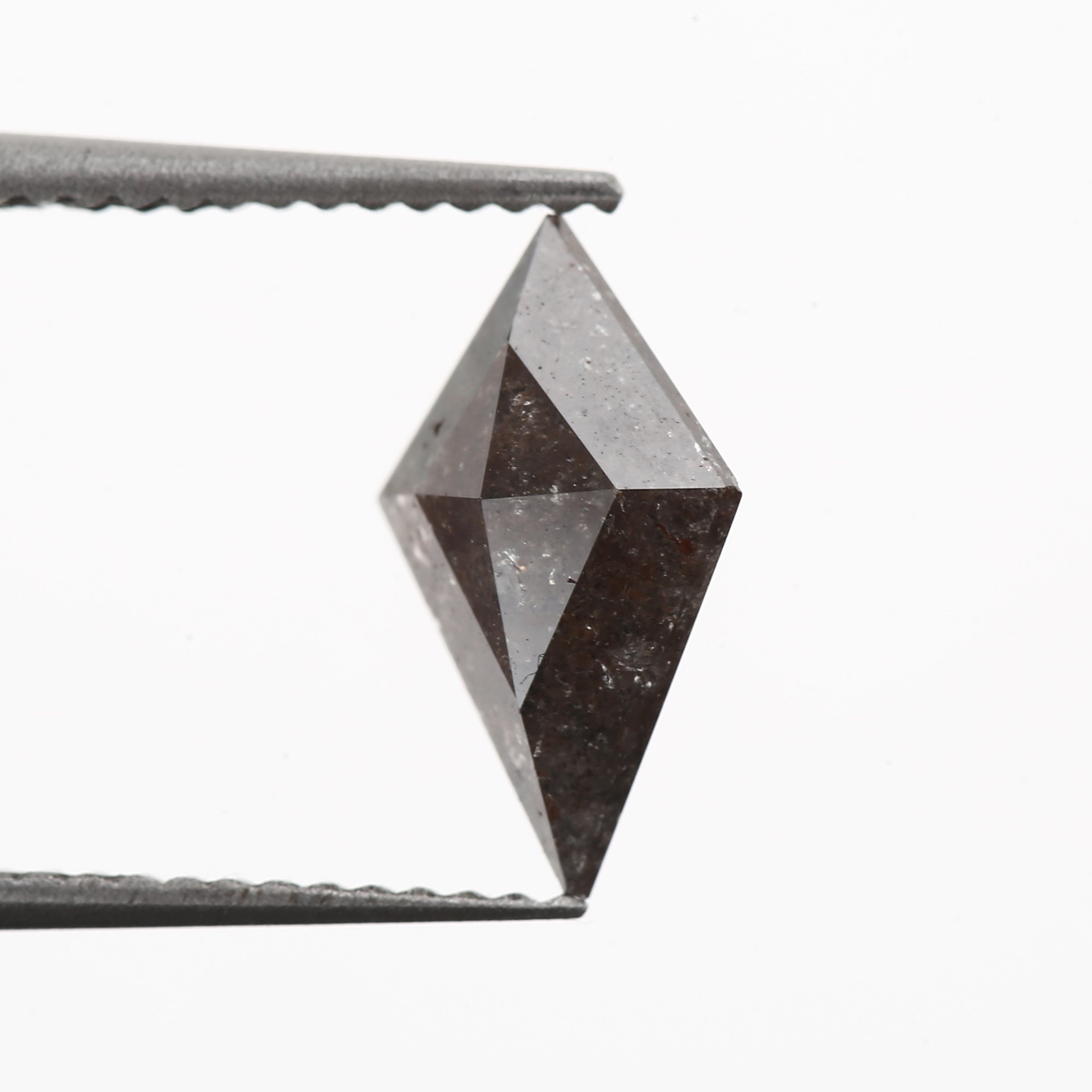 ClariOLED Transparent OLED Display price