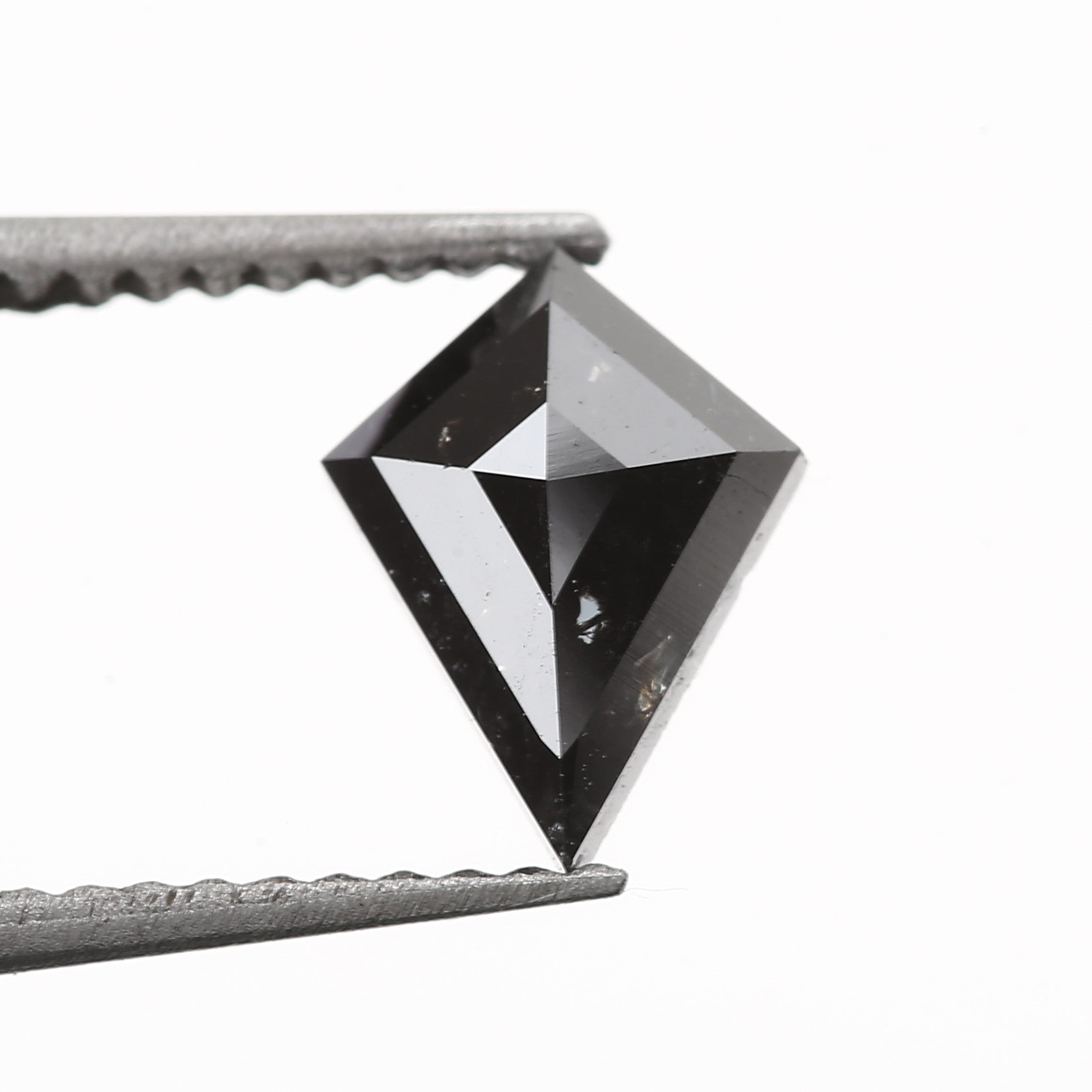 ClariOLED Transparent OLED Display price