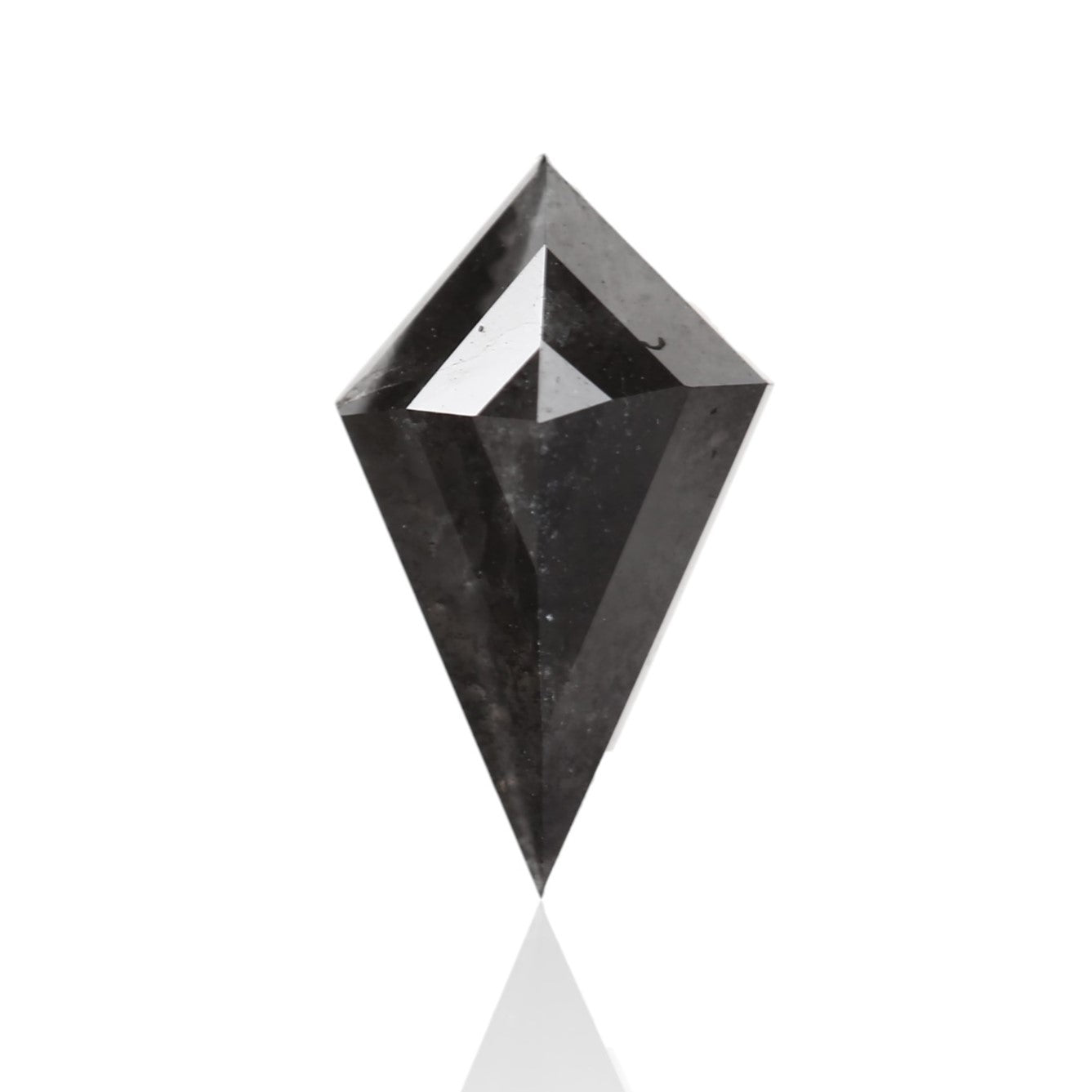 ClariOLED Transparent OLED Display price