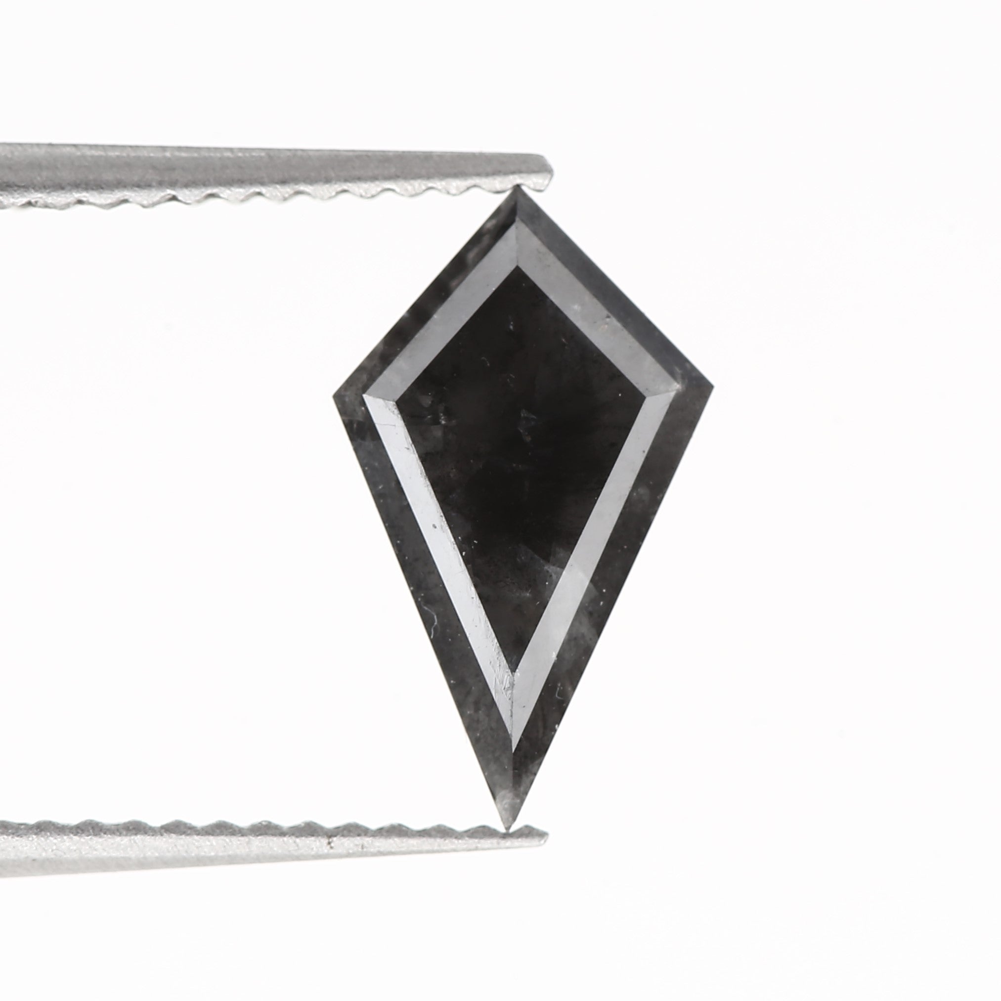 ClariOLED Transparent OLED Display price