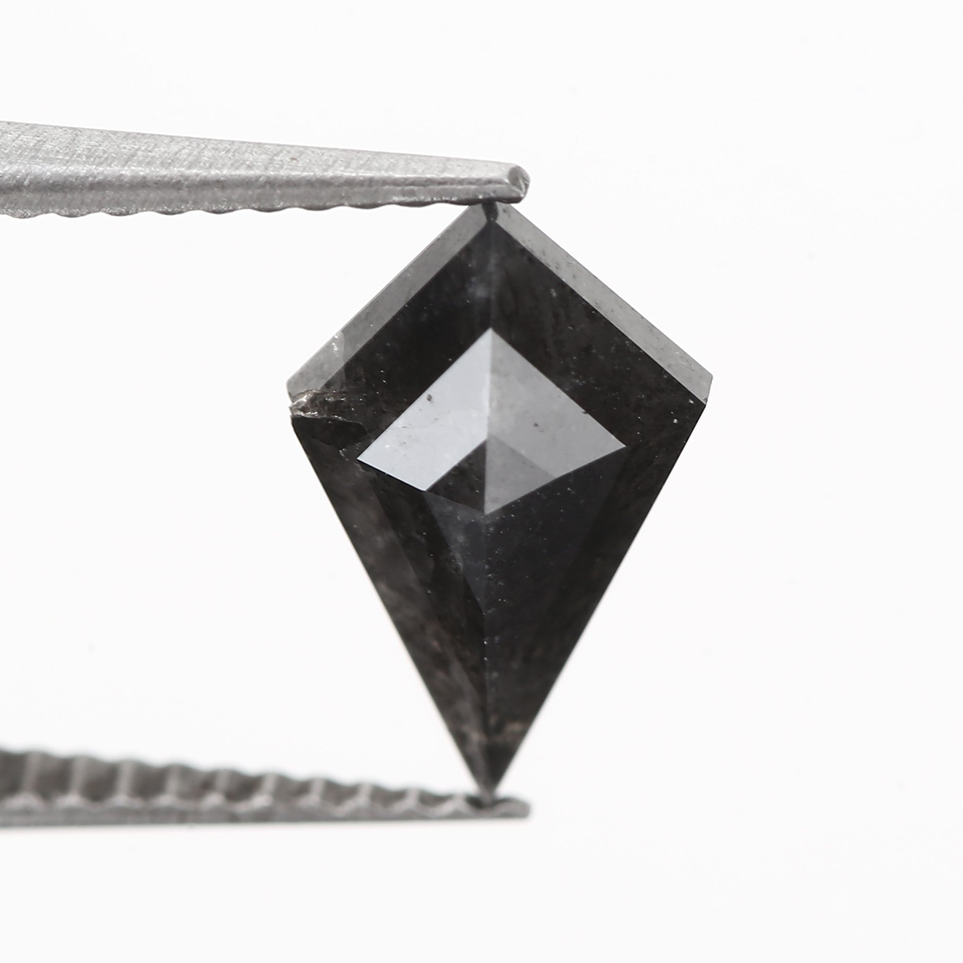 ClariOLED Transparent OLED Display price