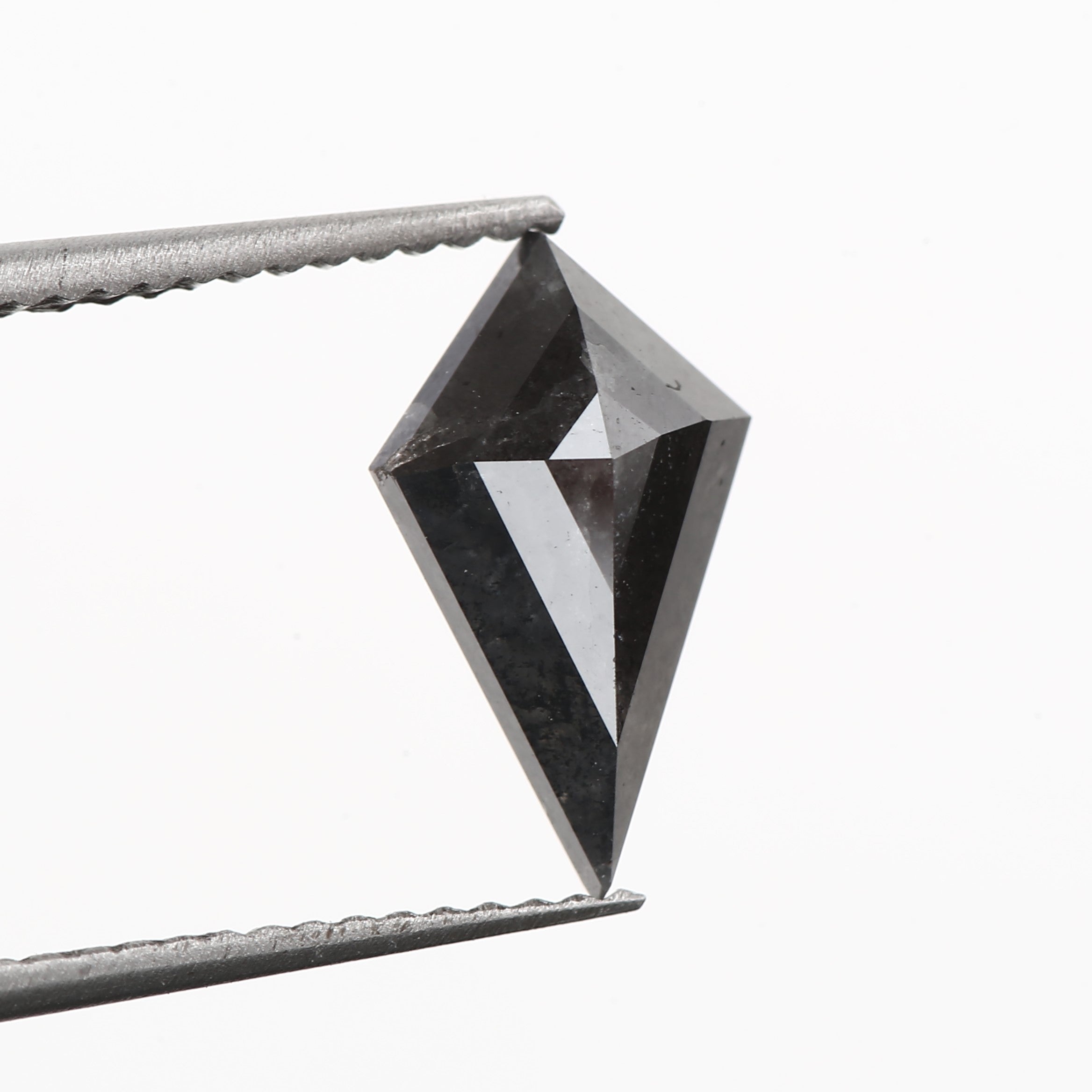 ClariOLED Transparent OLED Display price