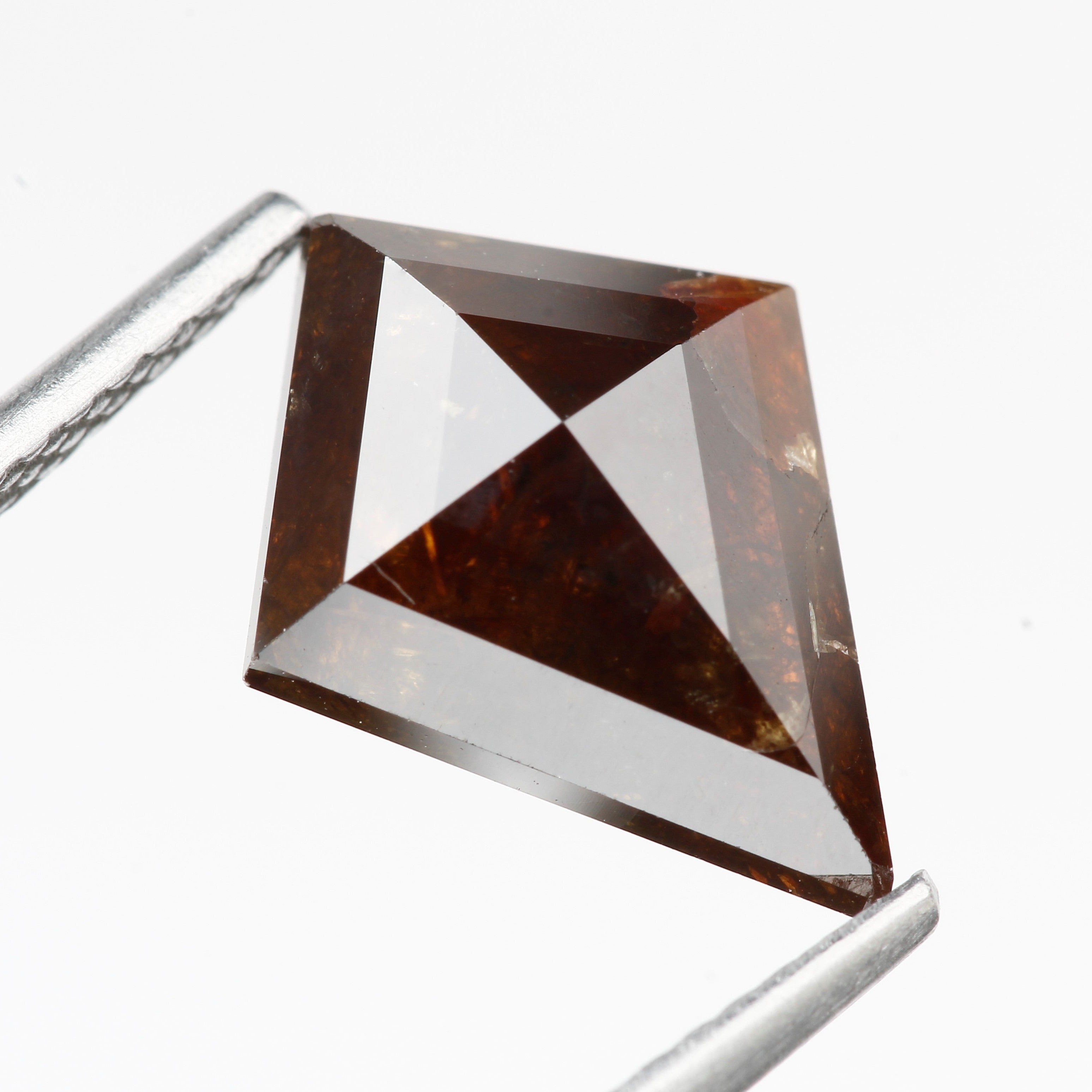 ClariOLED Transparent OLED Display price