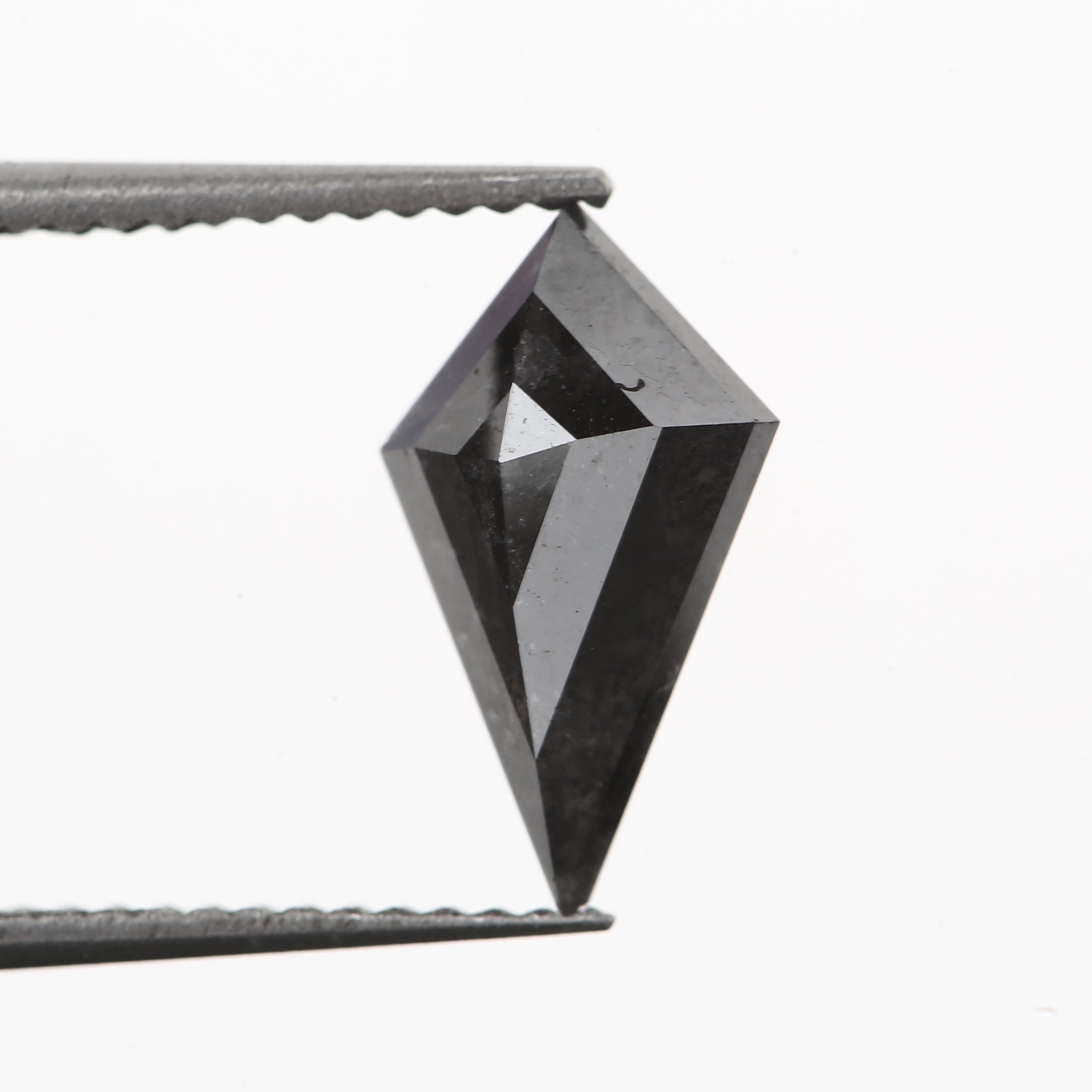 ClariOLED Transparent OLED Display price