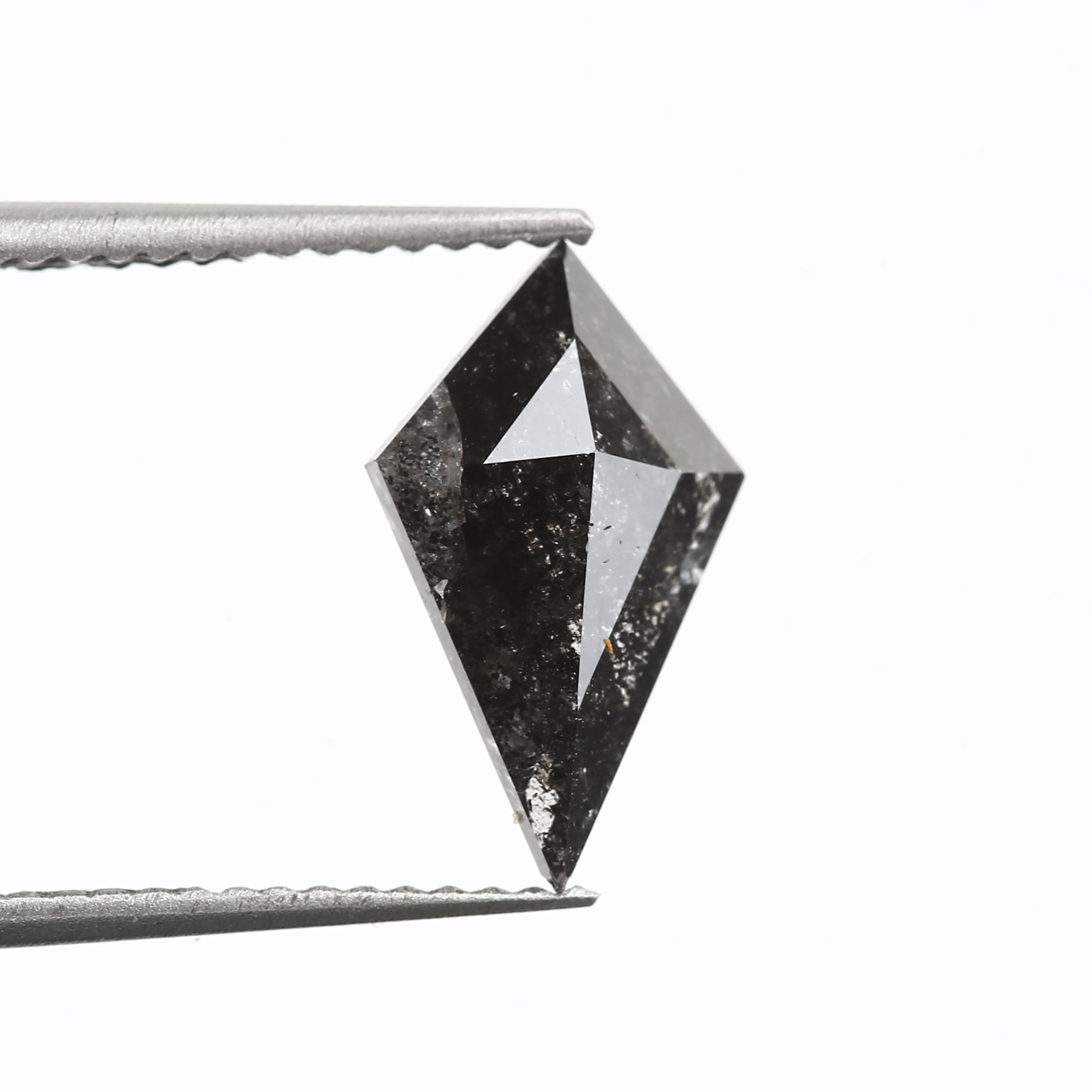 ClariOLED Transparent OLED Display price