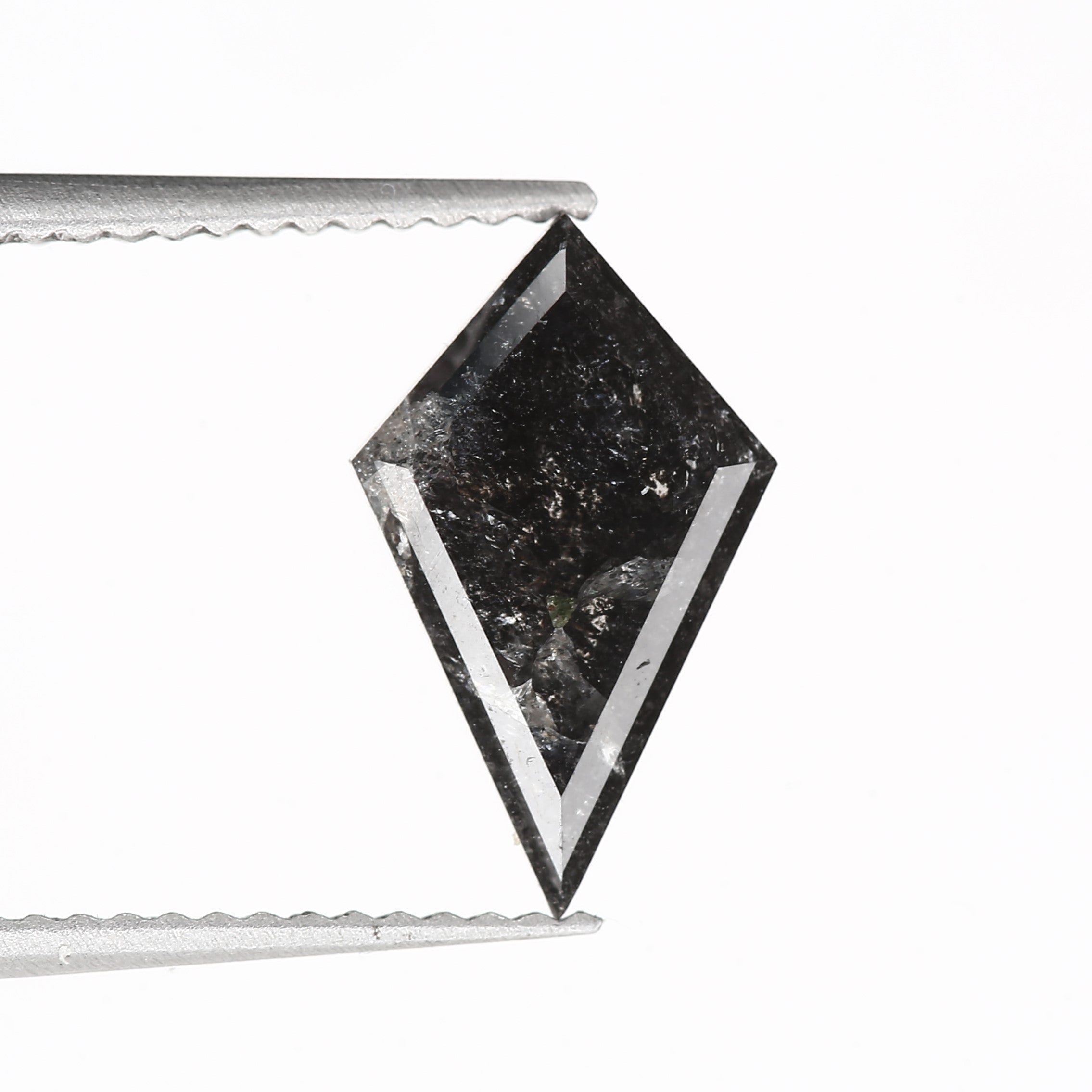 ClariOLED Transparent OLED Display price