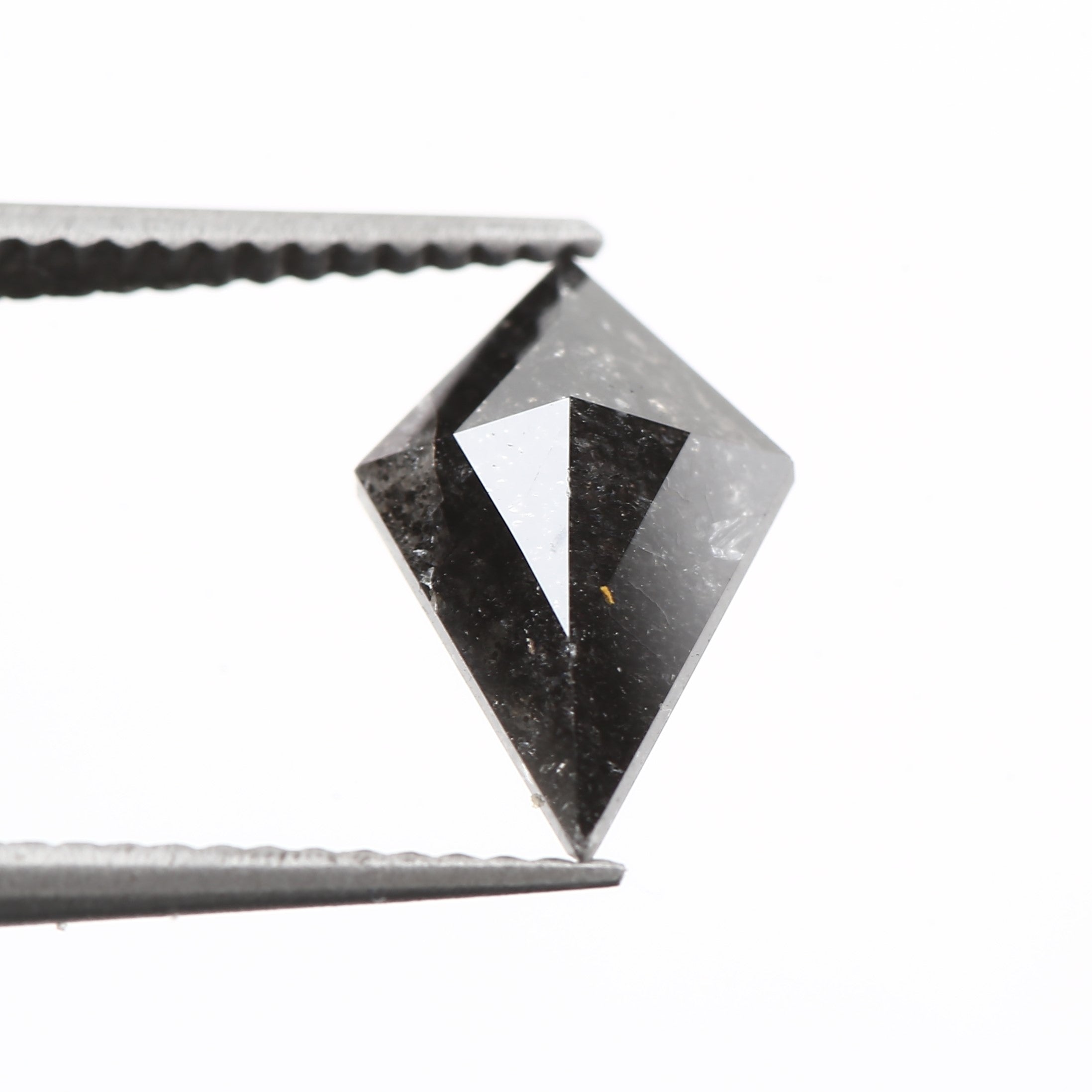 ClariOLED Transparent OLED Display price