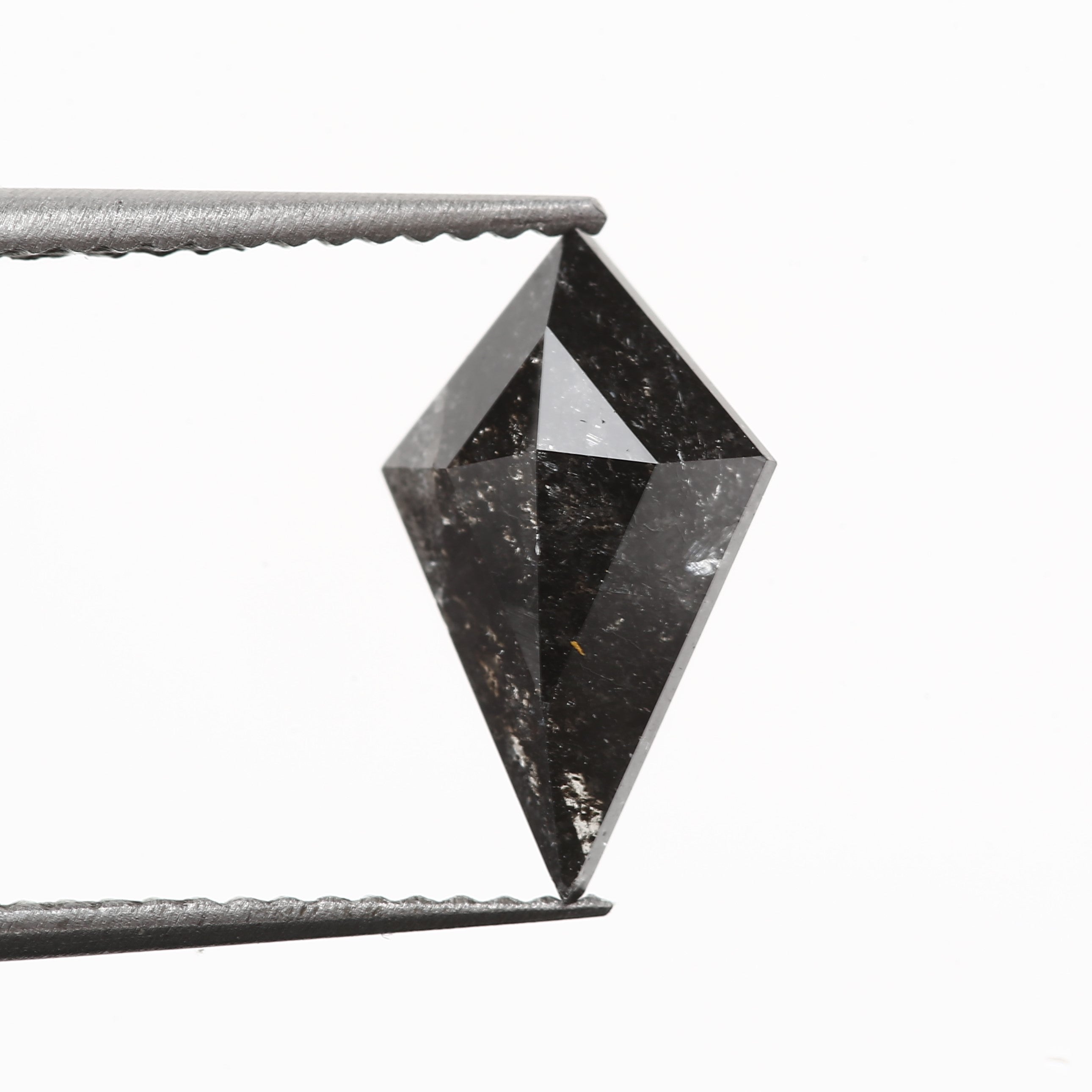 ClariOLED Transparent OLED Display price