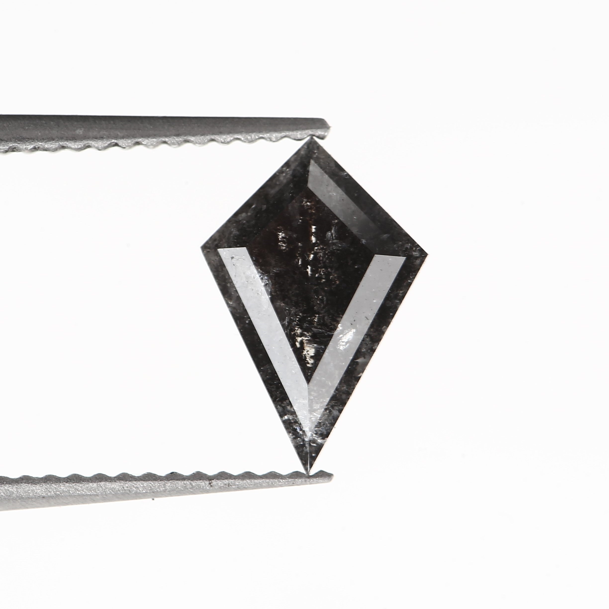 ClariOLED Transparent OLED Display price