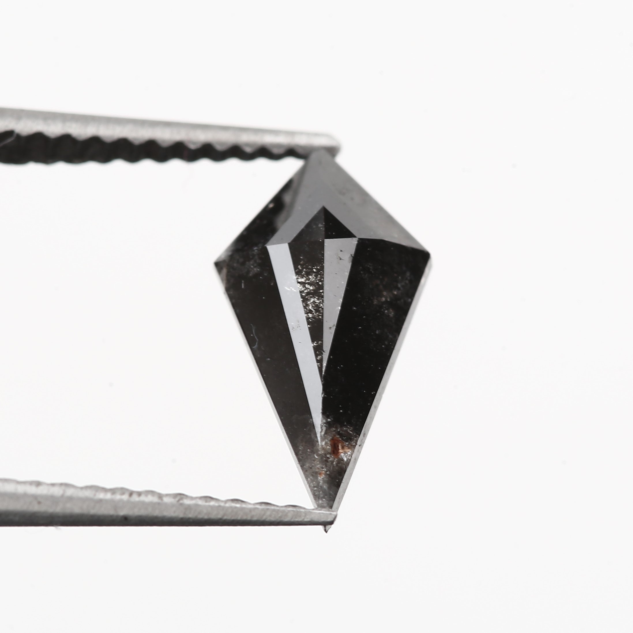 ClariOLED Transparent OLED Display price