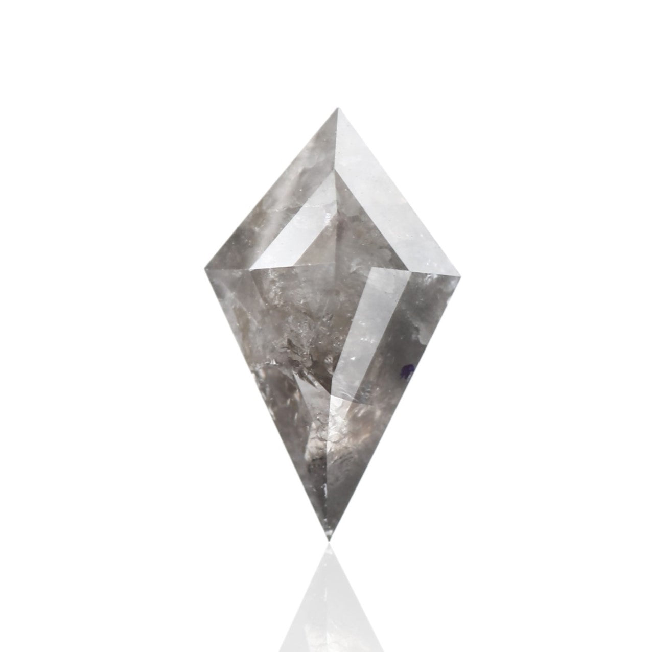 ClariOLED Transparent OLED Display price