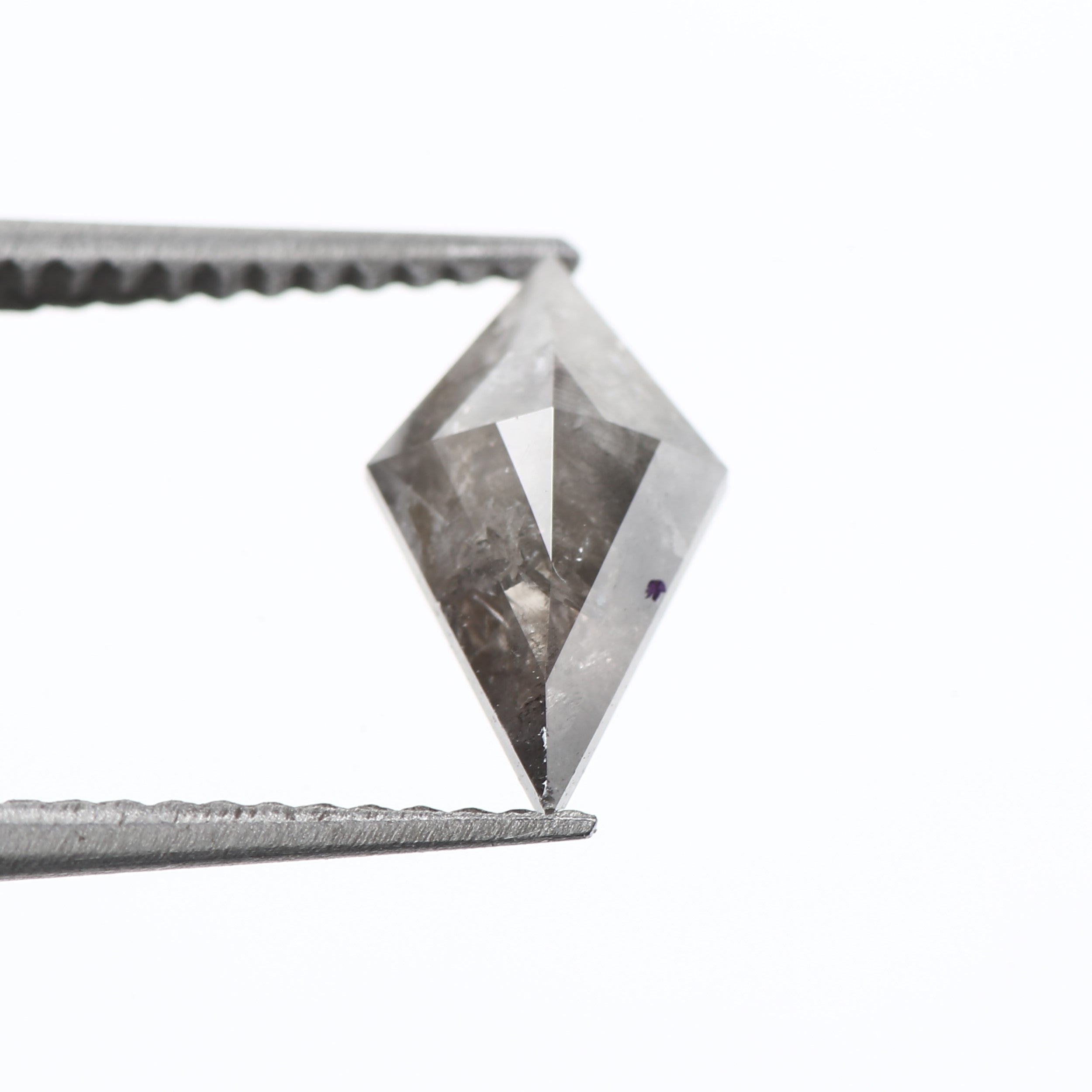 ClariOLED Transparent OLED Display price