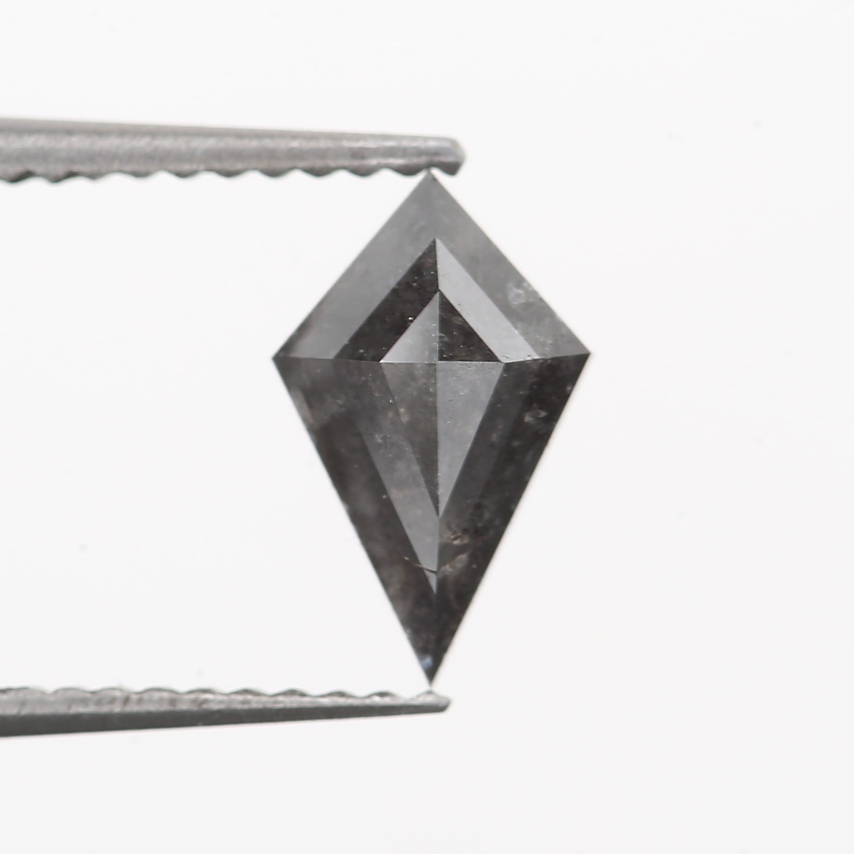 ClariOLED Transparent OLED Display price