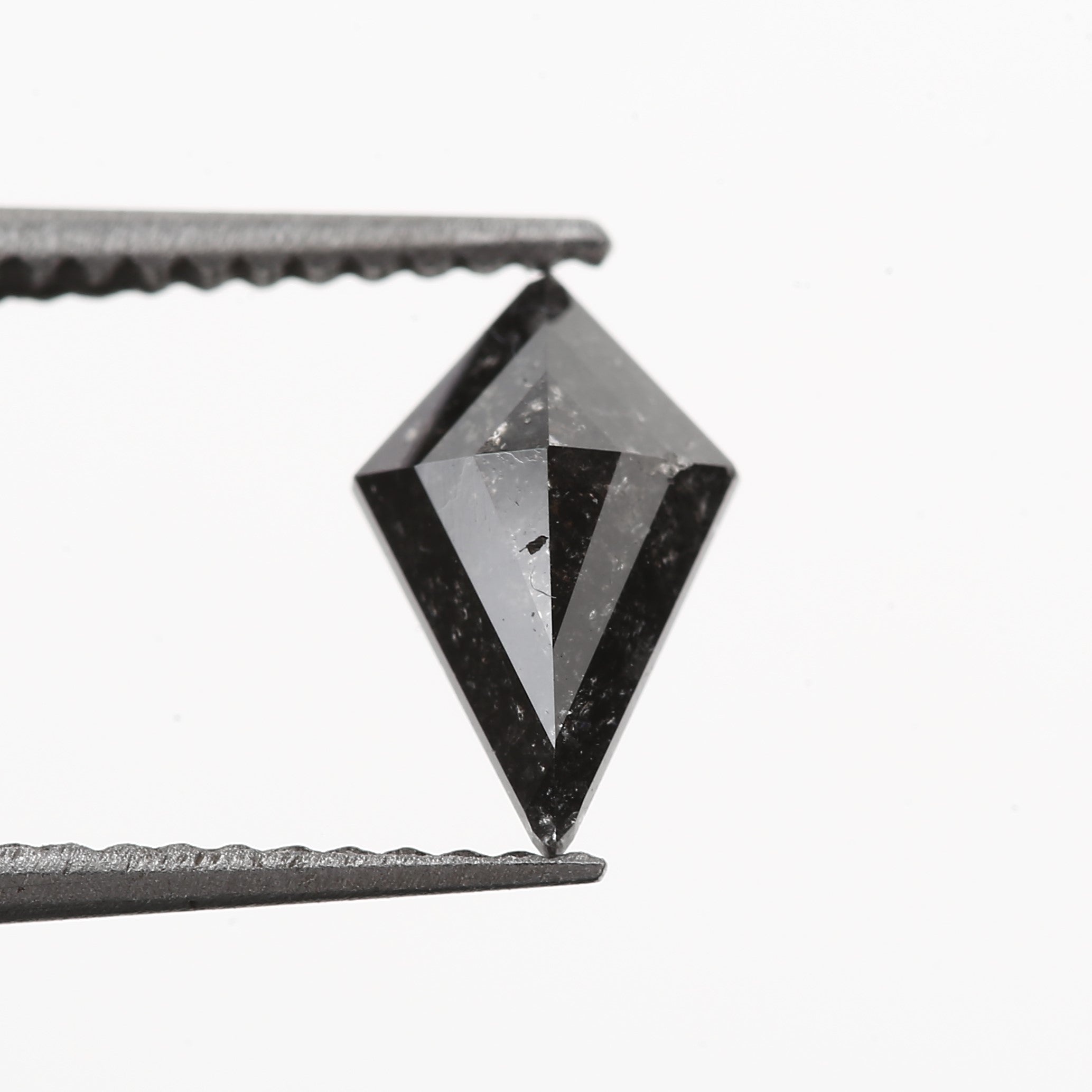 ClariOLED Transparent OLED Display price