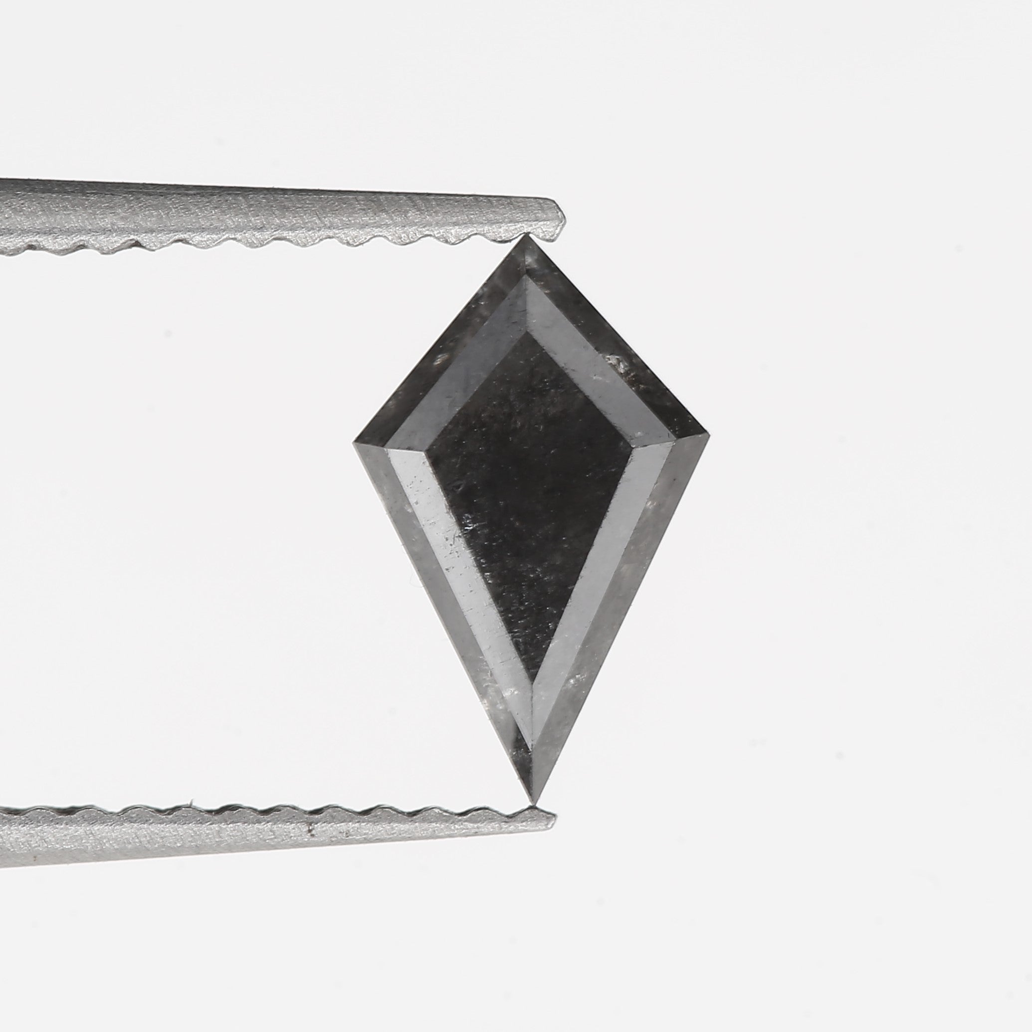 ClariOLED Transparent OLED Display price