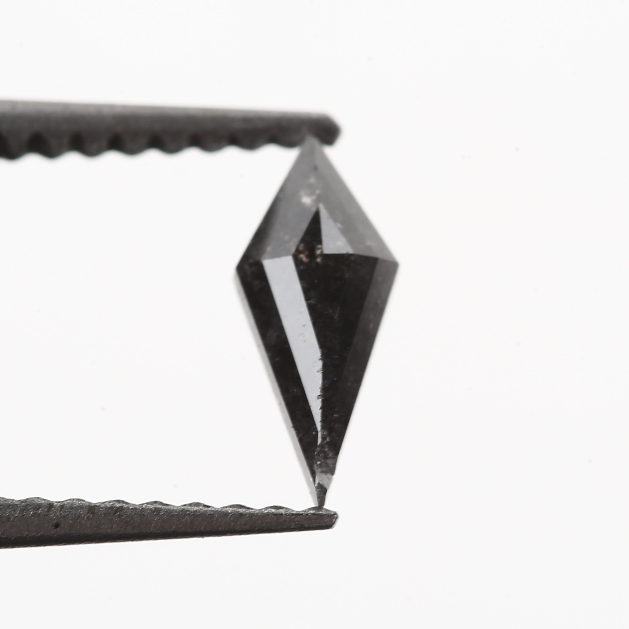 ClariOLED Transparent OLED Display price