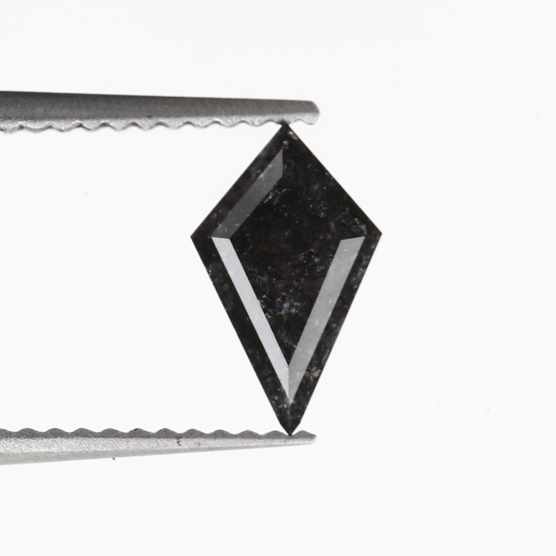 ClariOLED Transparent OLED Display price