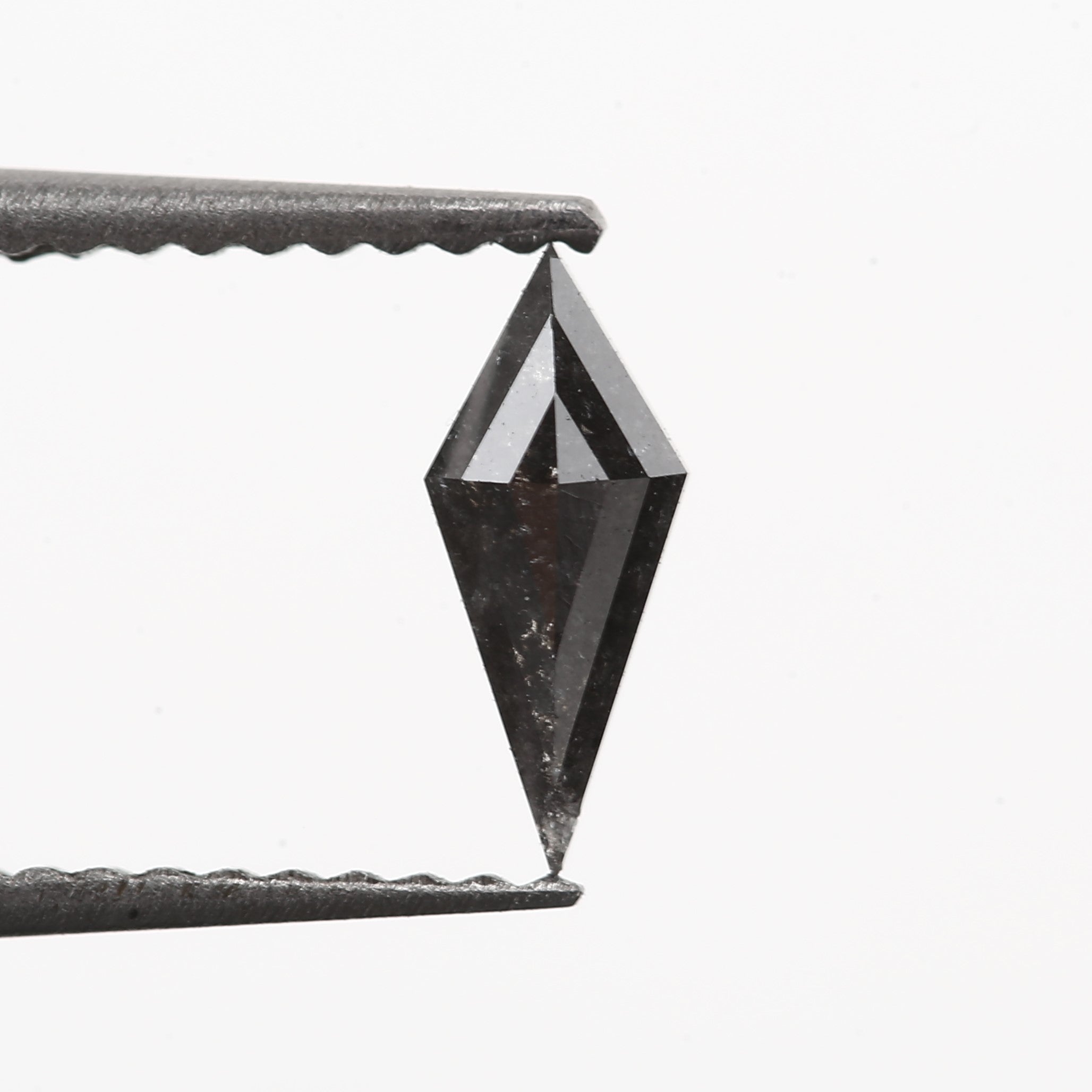 ClariOLED Transparent OLED Display price