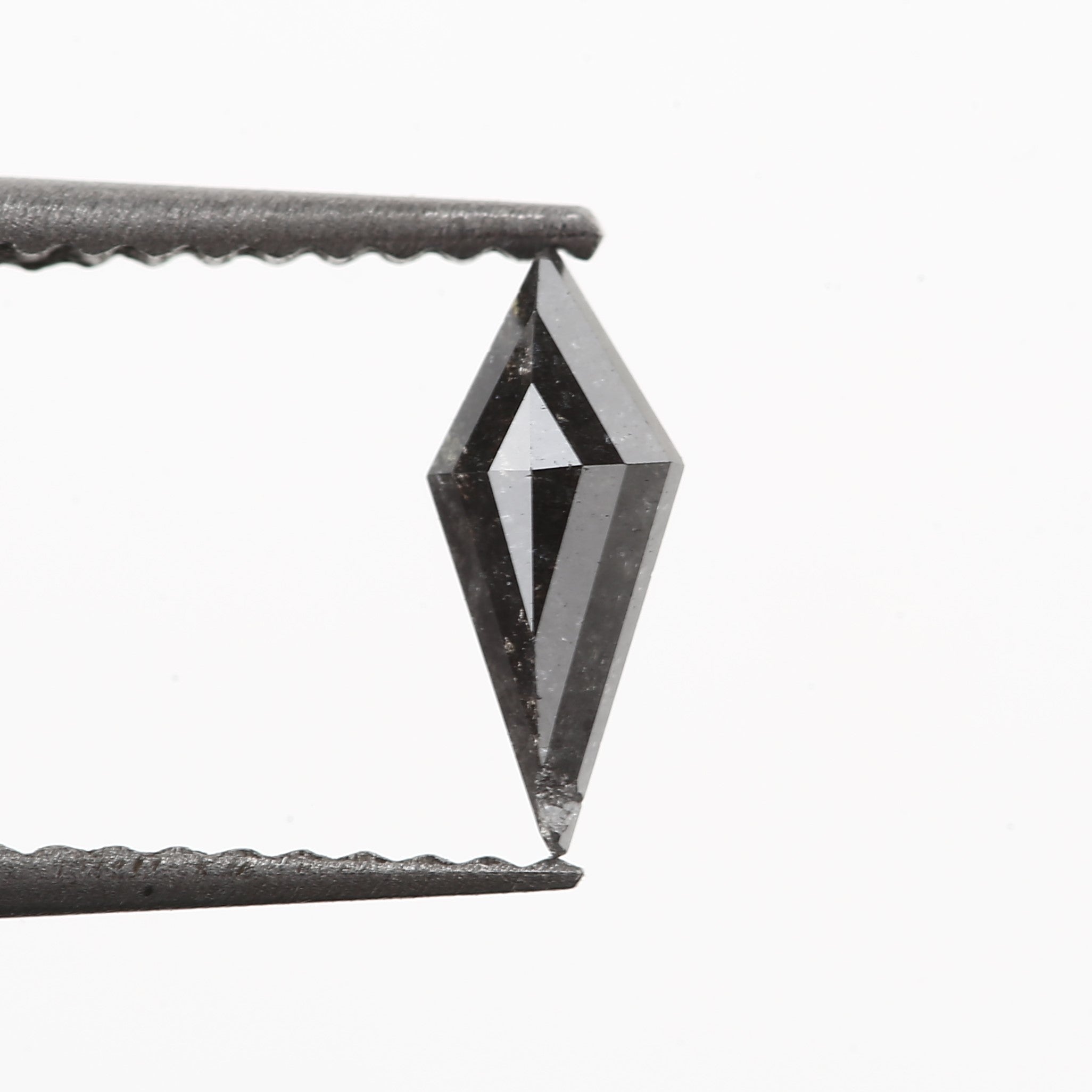 ClariOLED Transparent OLED Display price