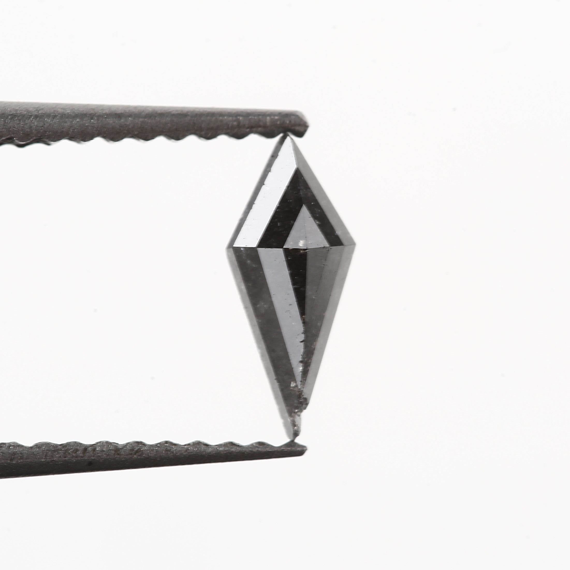 ClariOLED Transparent OLED Display price