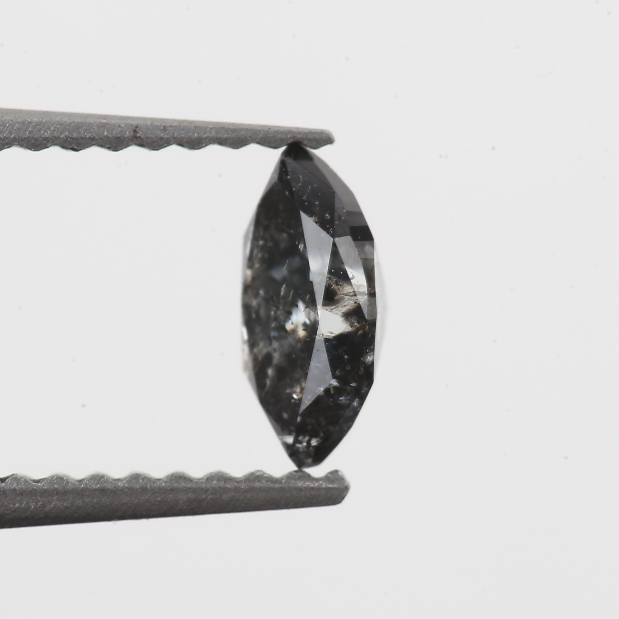 ClariOLED Transparent OLED Display price