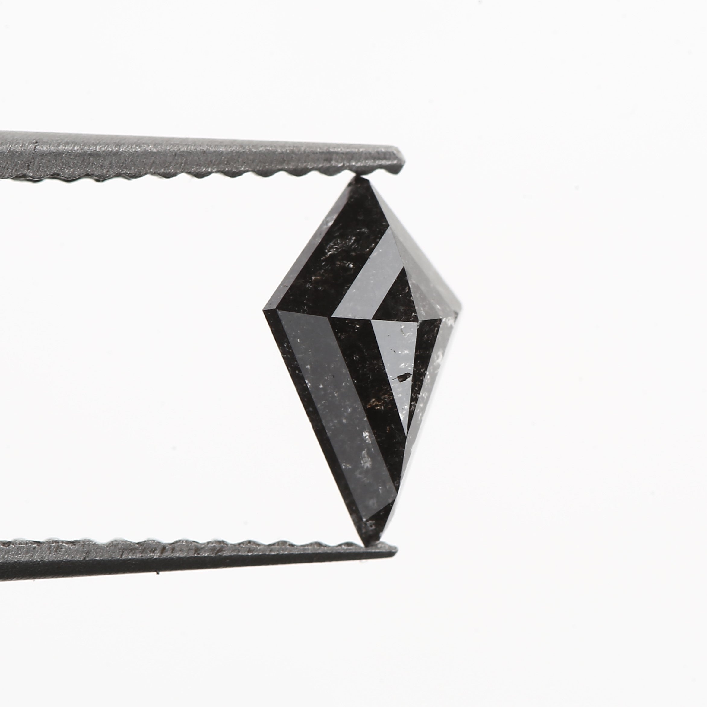 ClariOLED Transparent OLED Display price