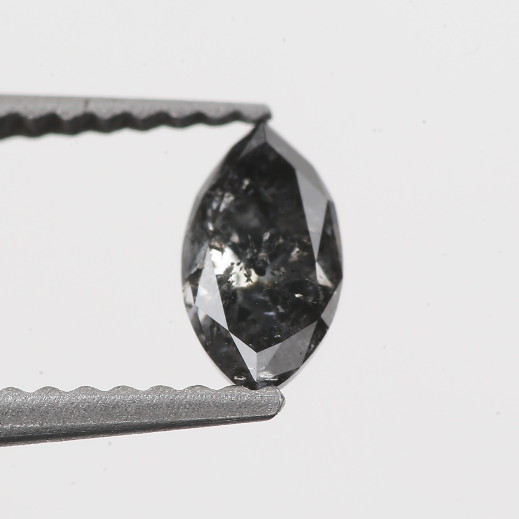 ClariOLED Transparent OLED Display price