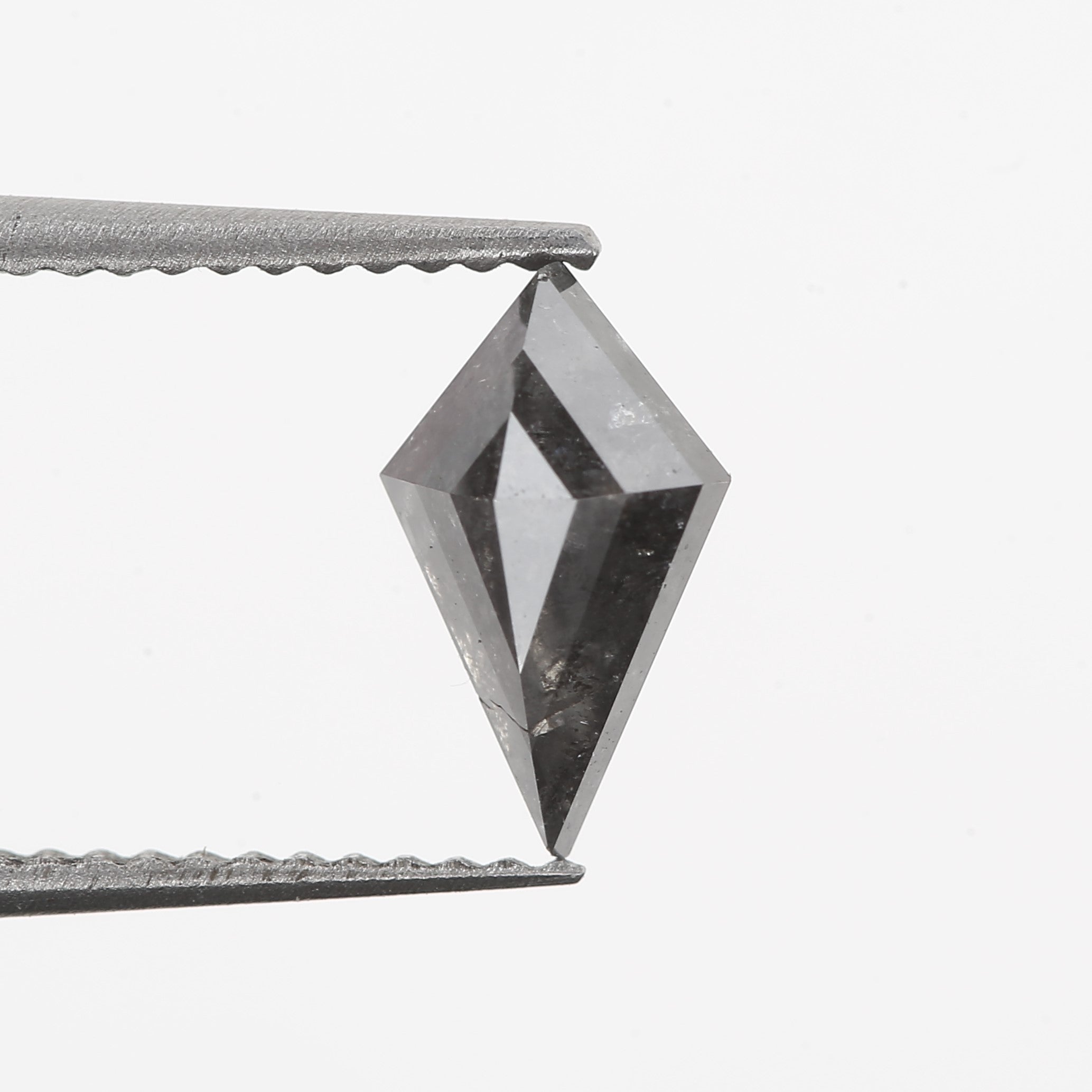 ClariOLED Transparent OLED Display price