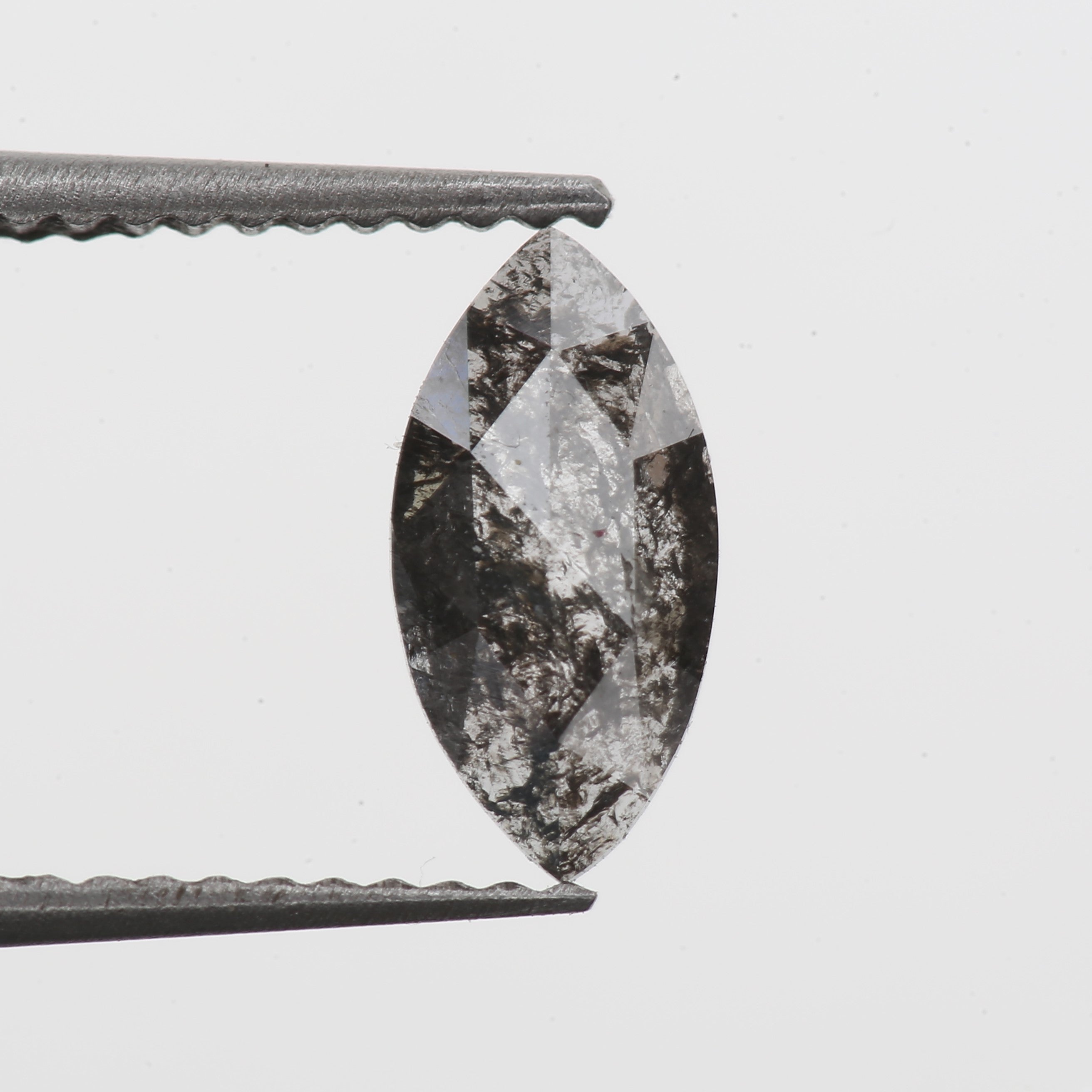 ClariOLED Transparent OLED Display price