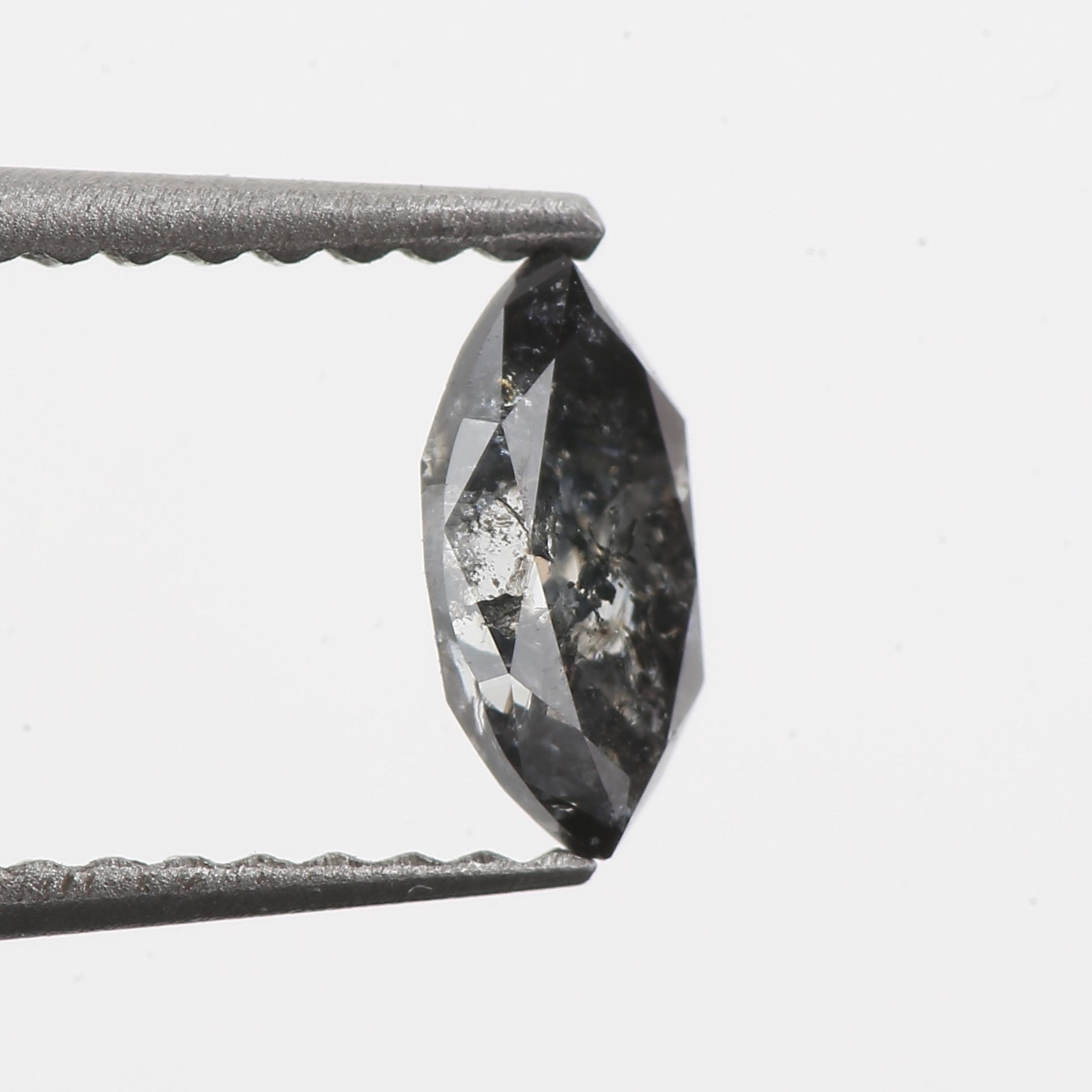 ClariOLED Transparent OLED Display price