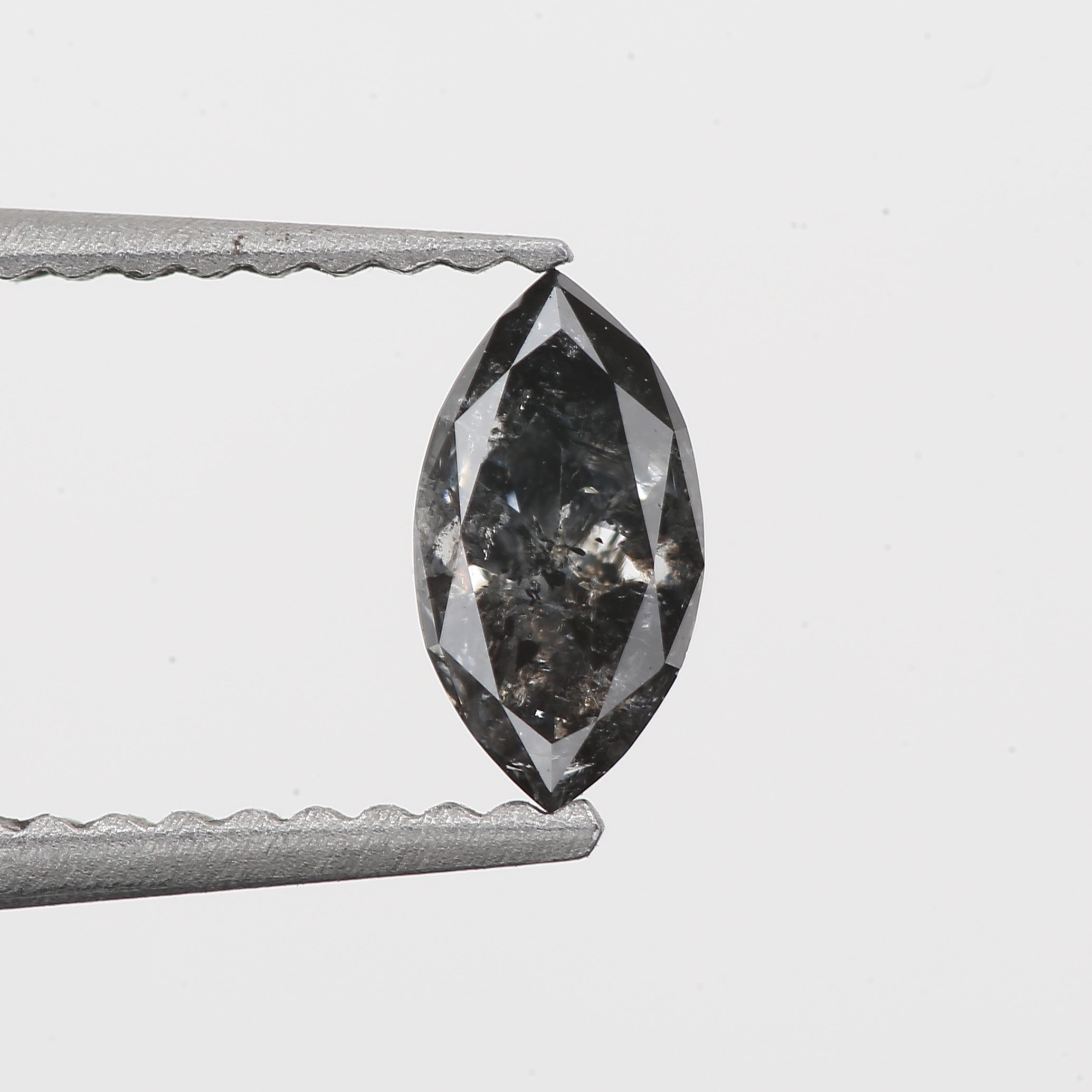 ClariOLED Transparent OLED Display price