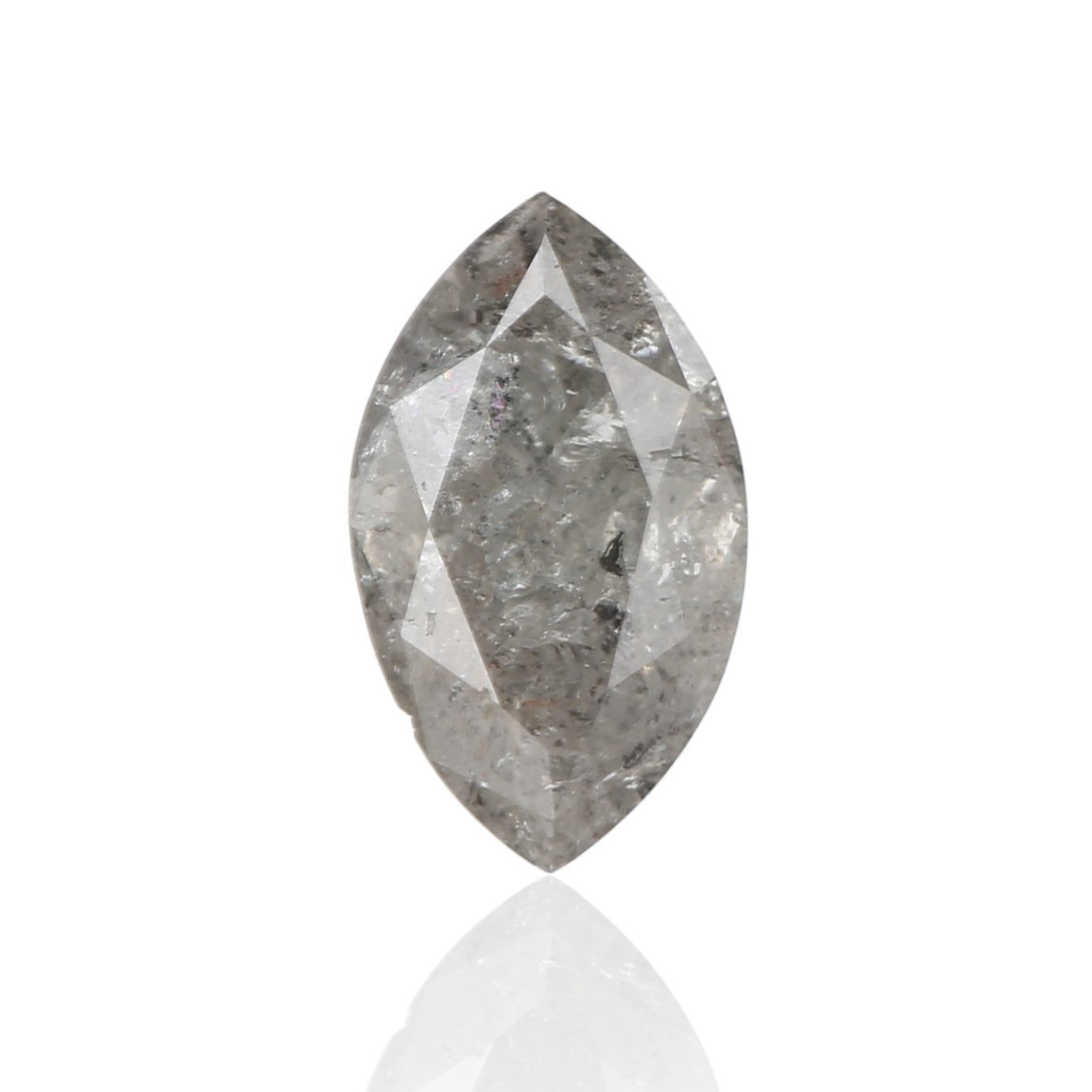 ClariOLED Transparent OLED Display price