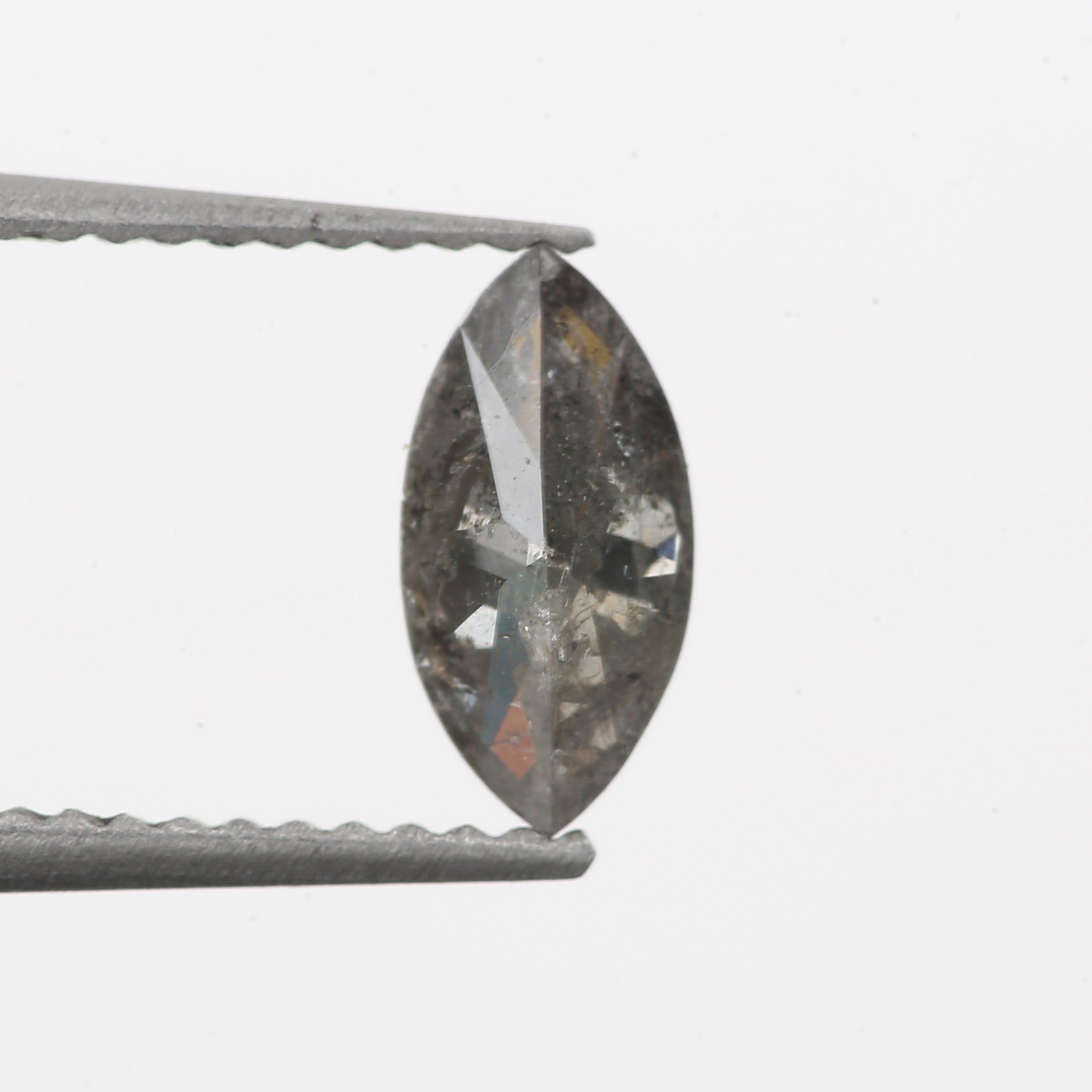 ClariOLED Transparent OLED Display price