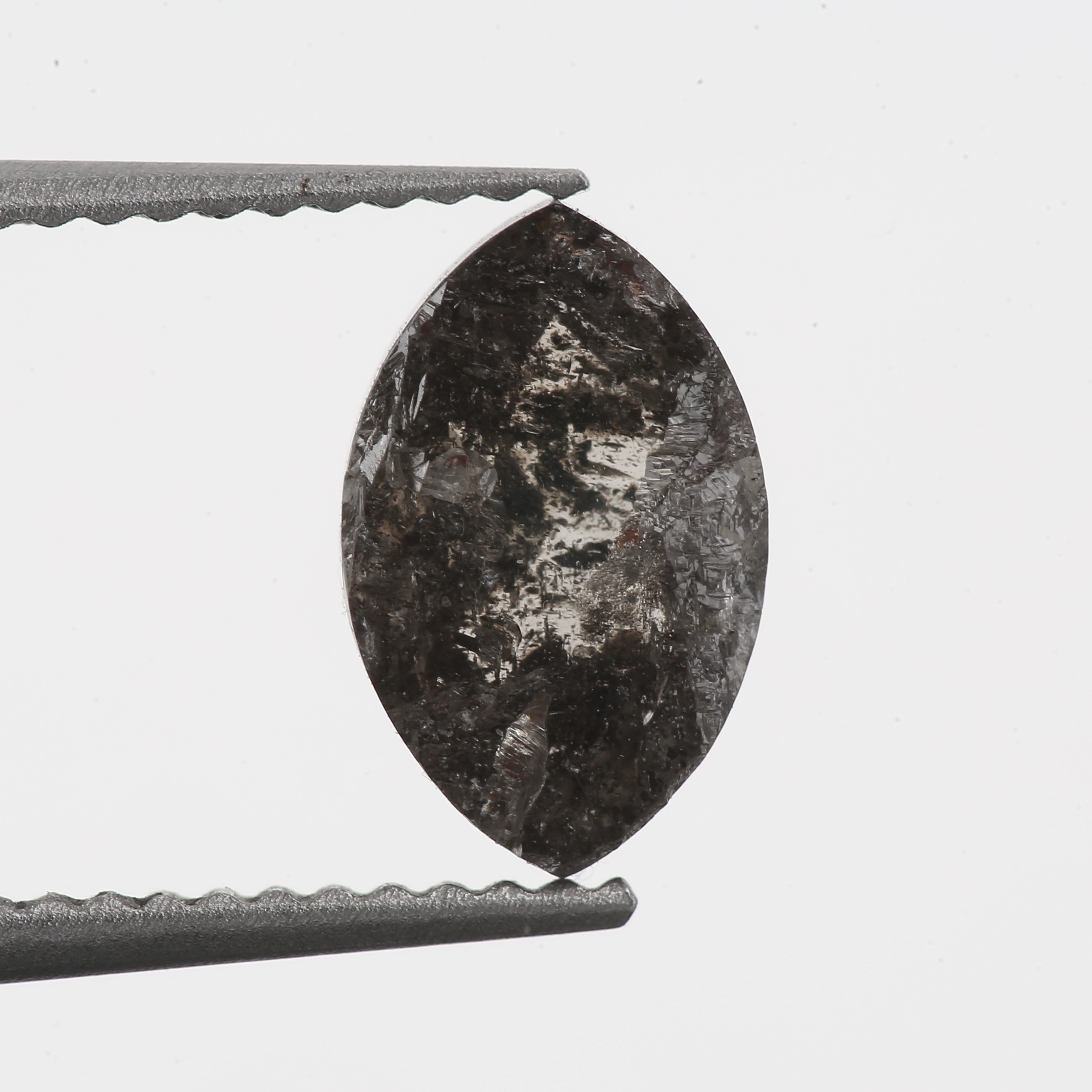 ClariOLED Transparent OLED Display price