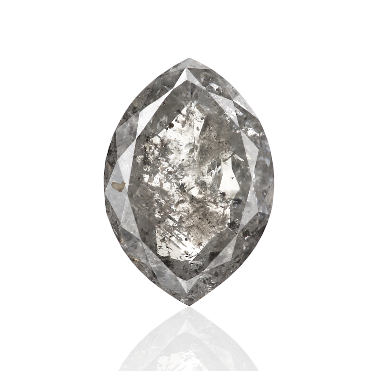 ClariOLED Transparent OLED Display price