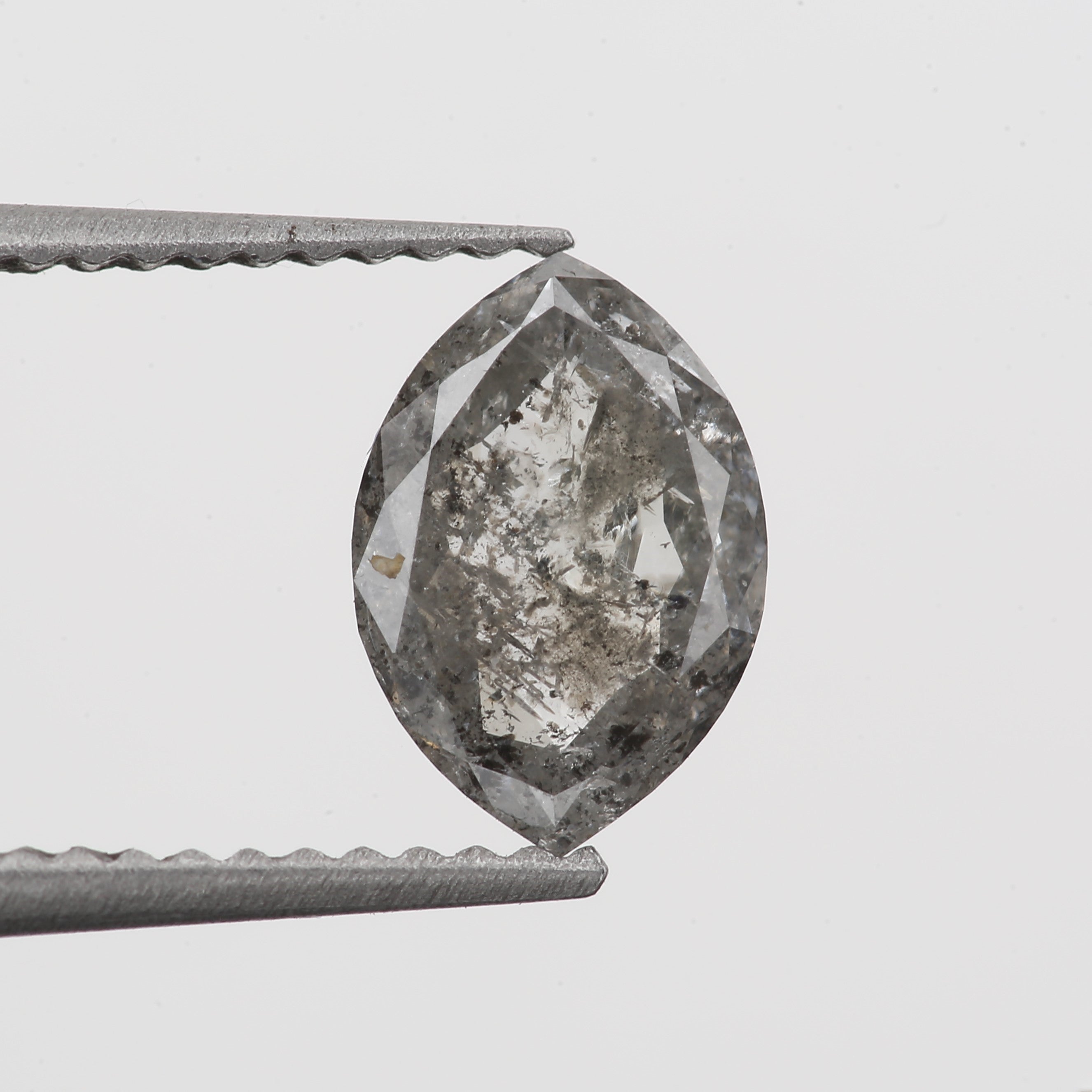 ClariOLED Transparent OLED Display price