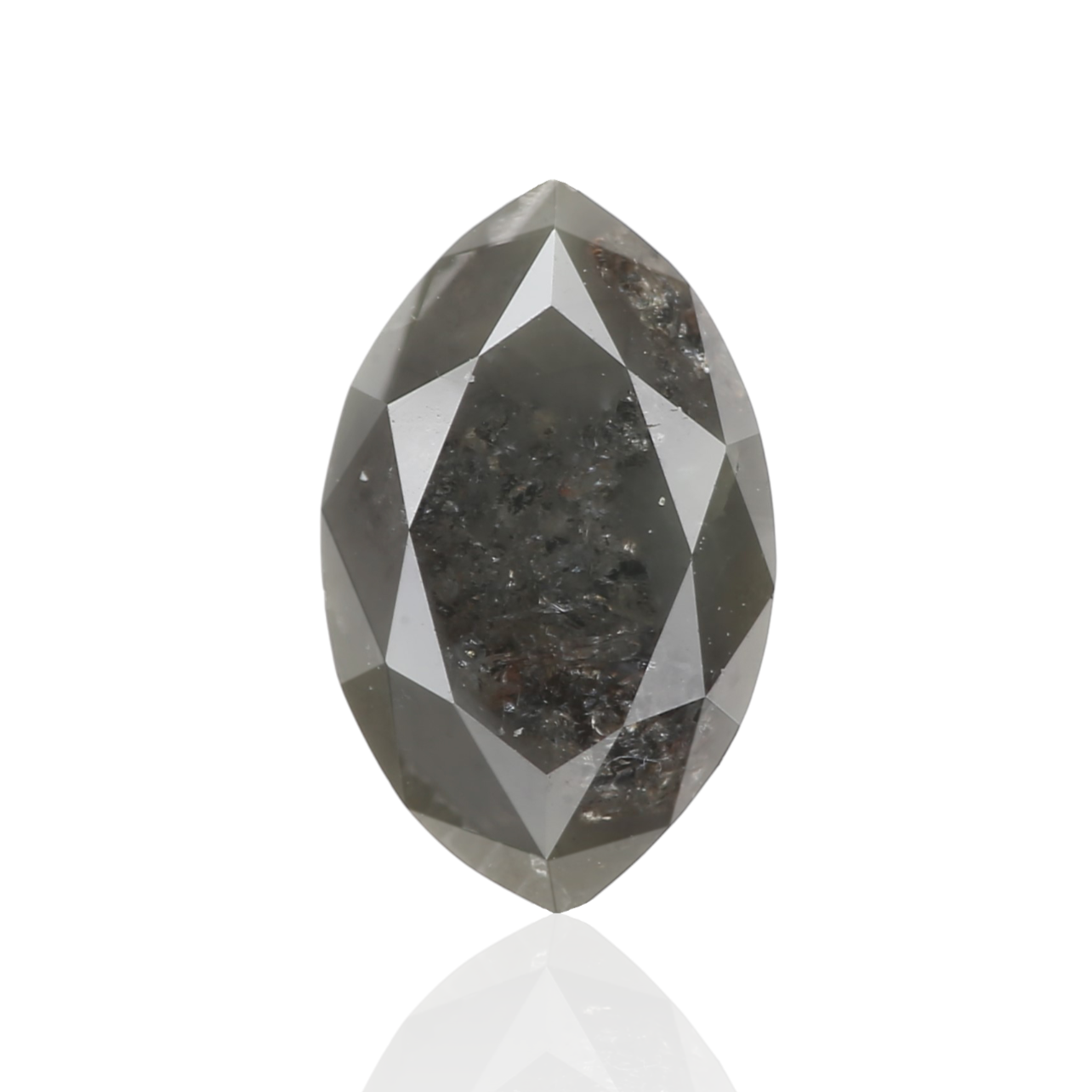 ClariOLED Transparent OLED Display price