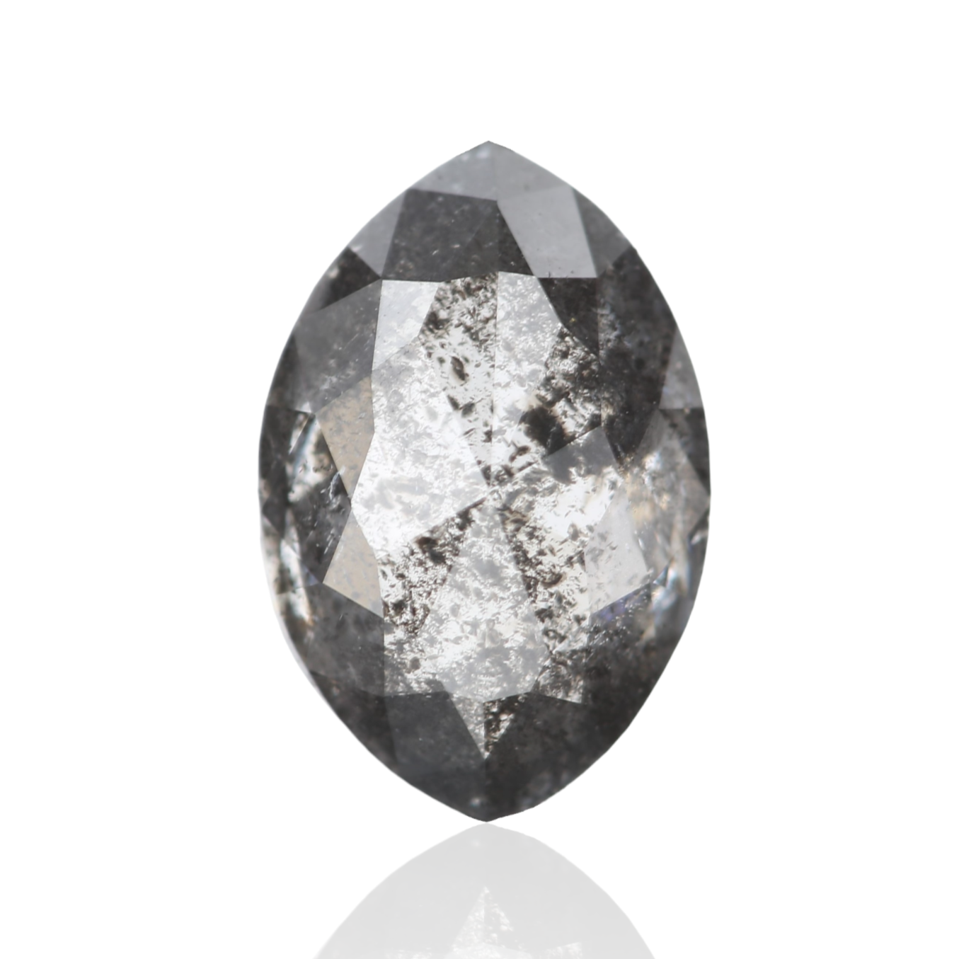 ClariOLED Transparent OLED Display price