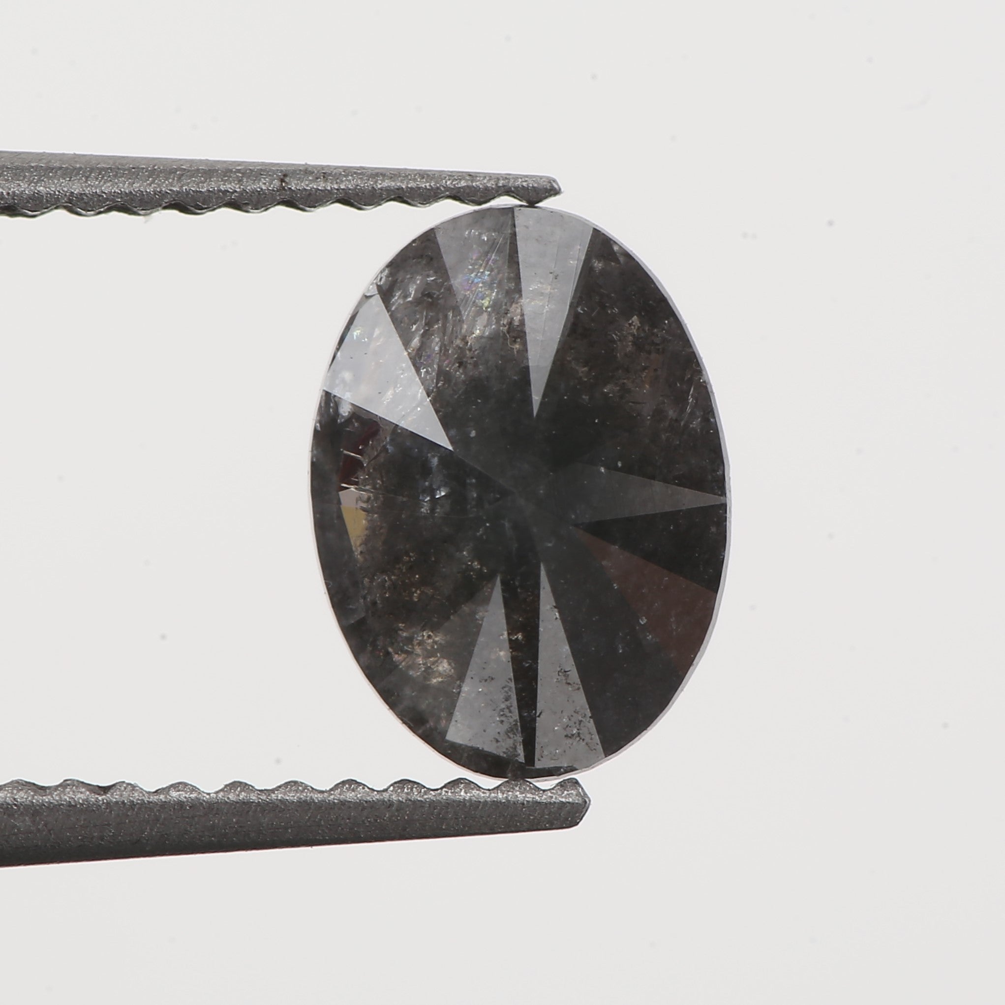 ClariOLED Transparent OLED Display price