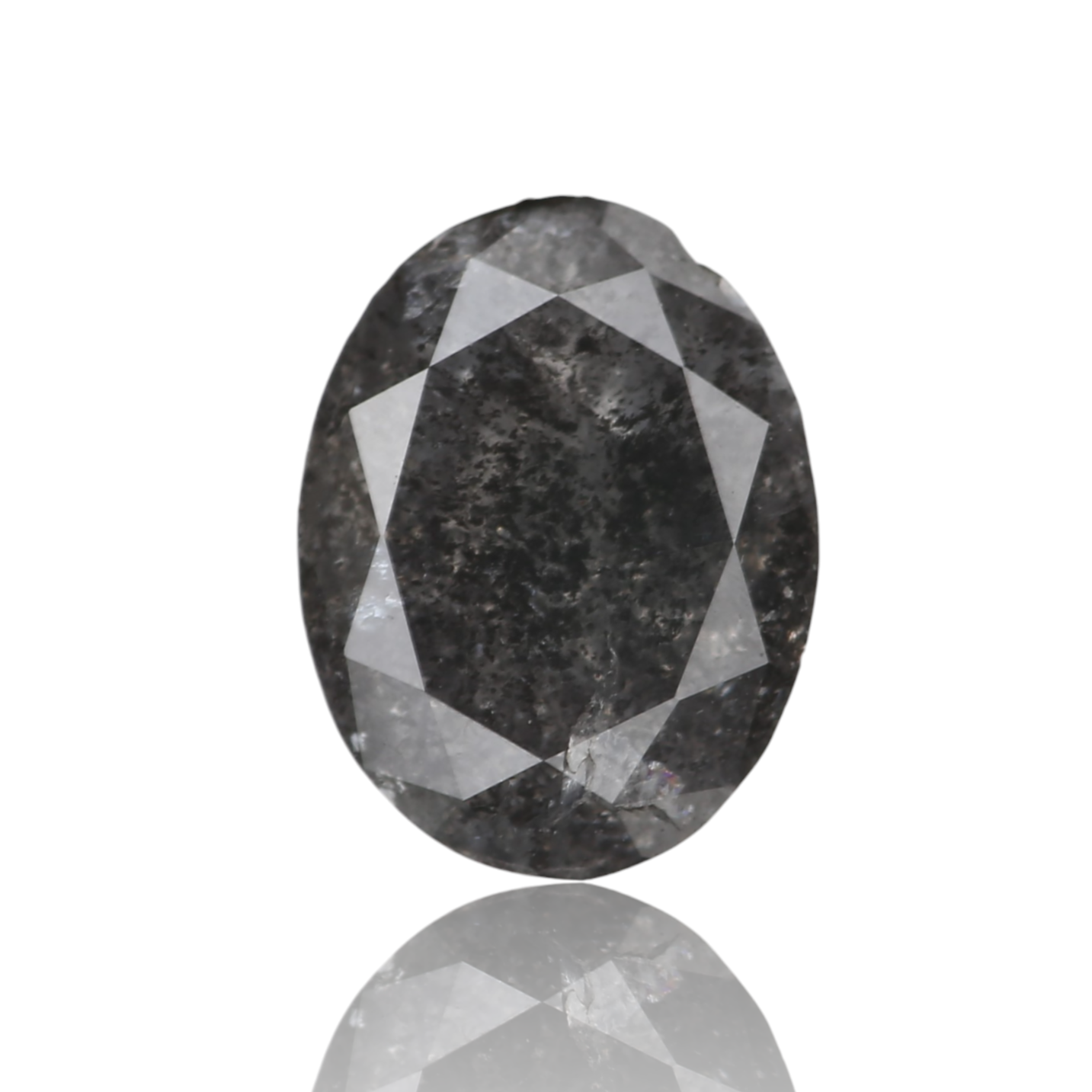 ClariOLED Transparent OLED Display price