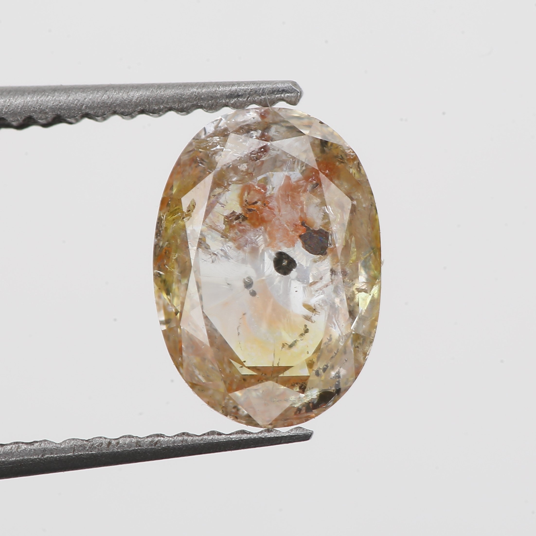 ClariOLED Transparent OLED Display price