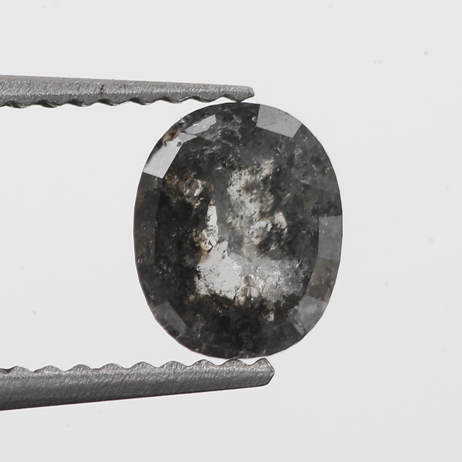 ClariOLED Transparent OLED Display price