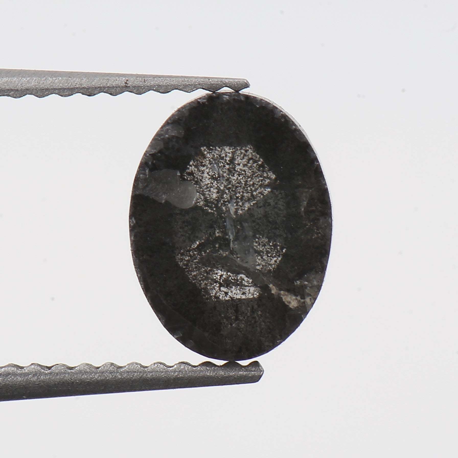 ClariOLED Transparent OLED Display price